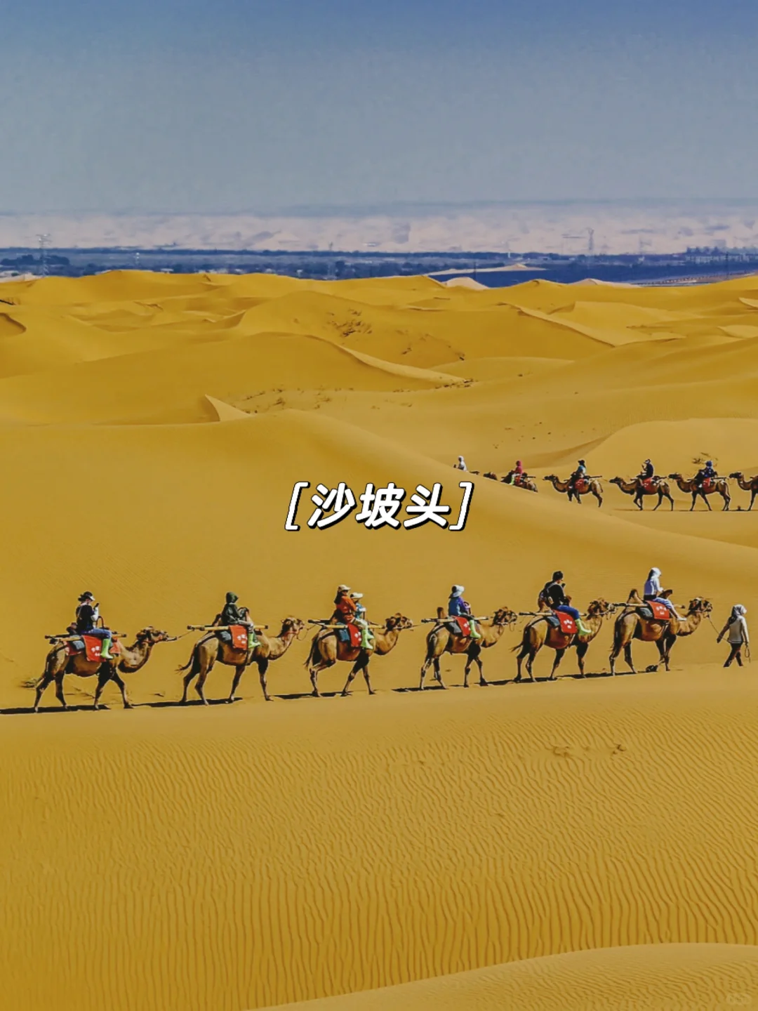 下一站去哪里？