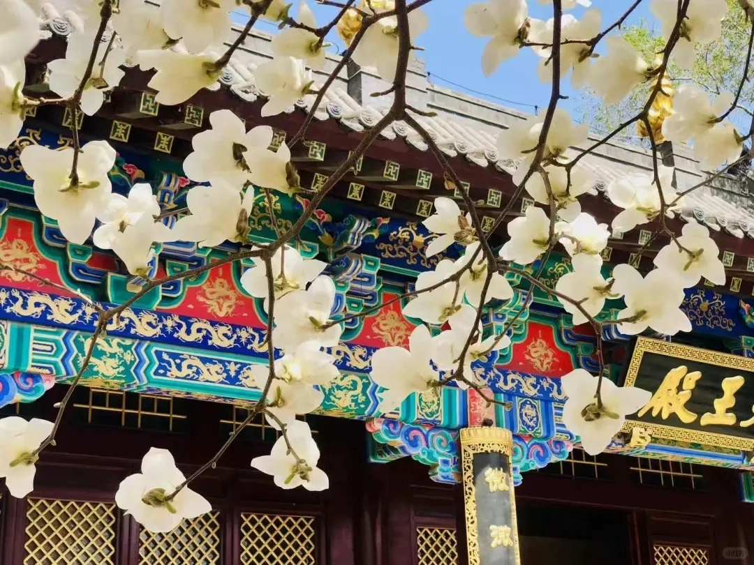 沈阳六大热门景区免费门票即将开始