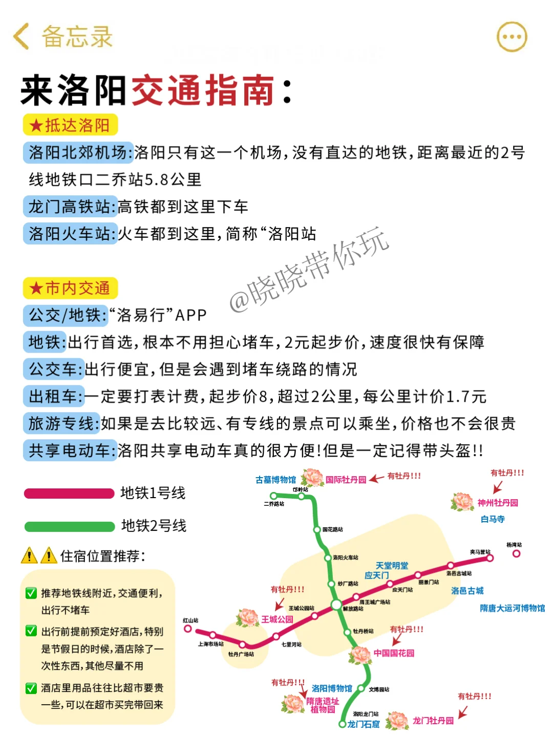 洛阳赏花行程安排，不看巨亏❗❗