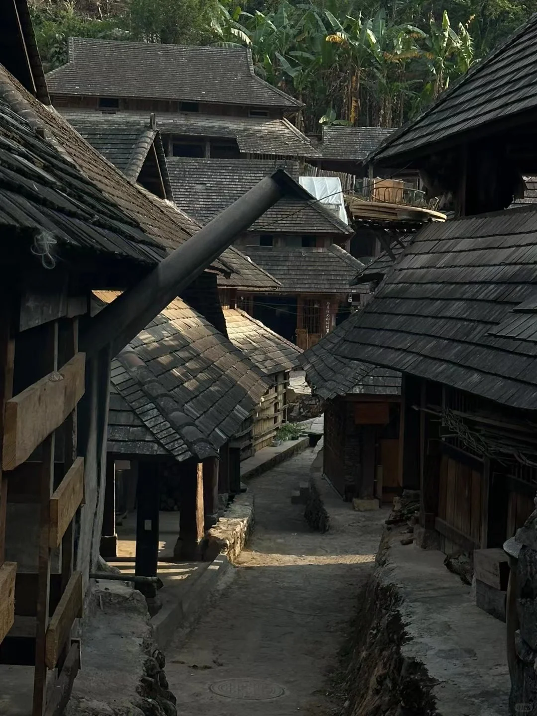 国内小众游｜不去人挤人，我在普洱安静地放空