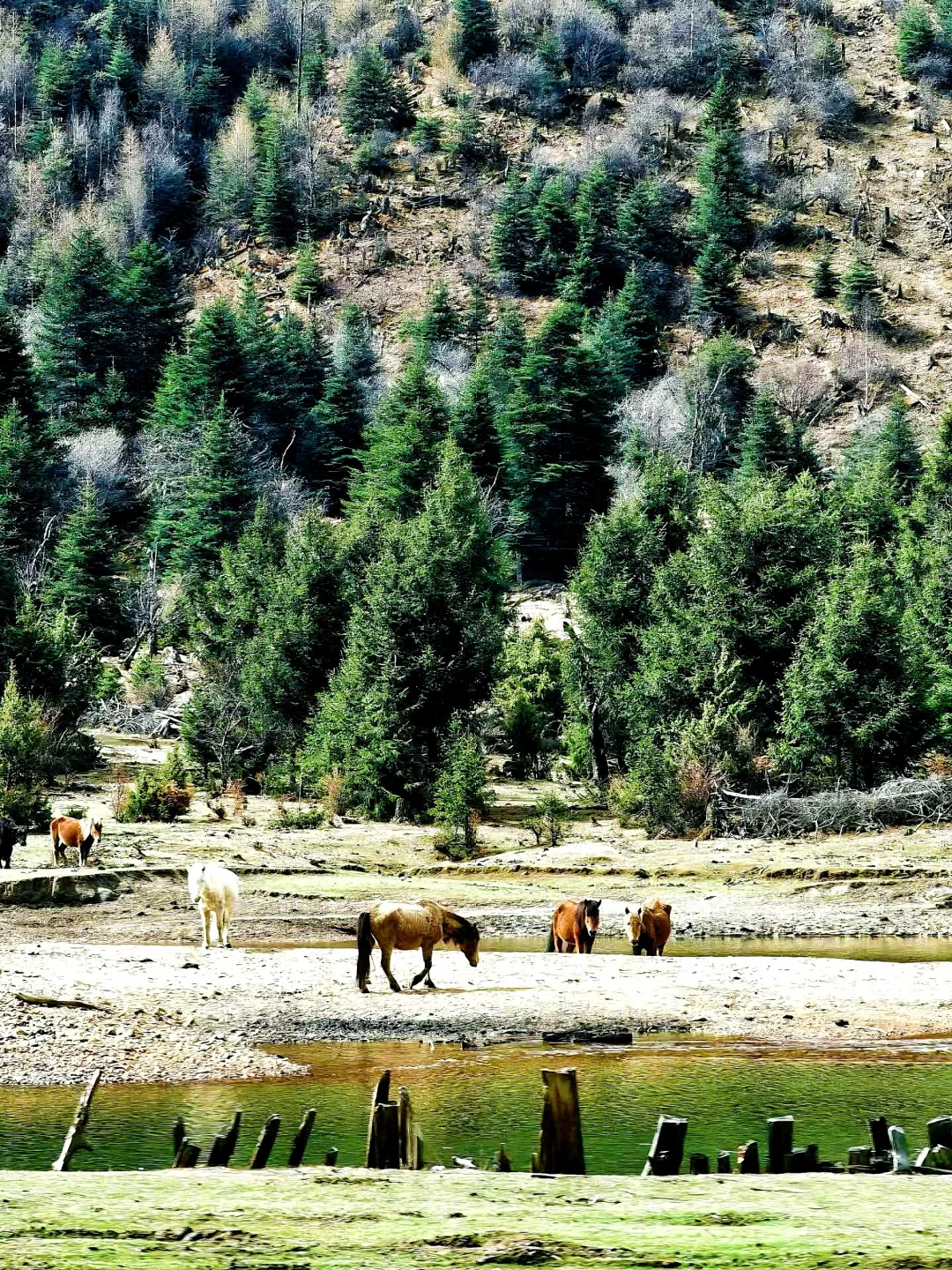 西藏3-5月蕞全旅行攻略｜气候+玩法+避坑点