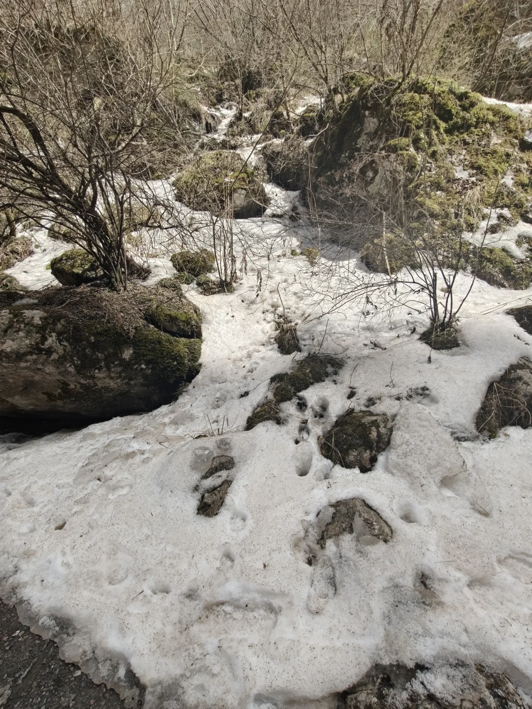 漳县-遮阳山.（超细致攻略）