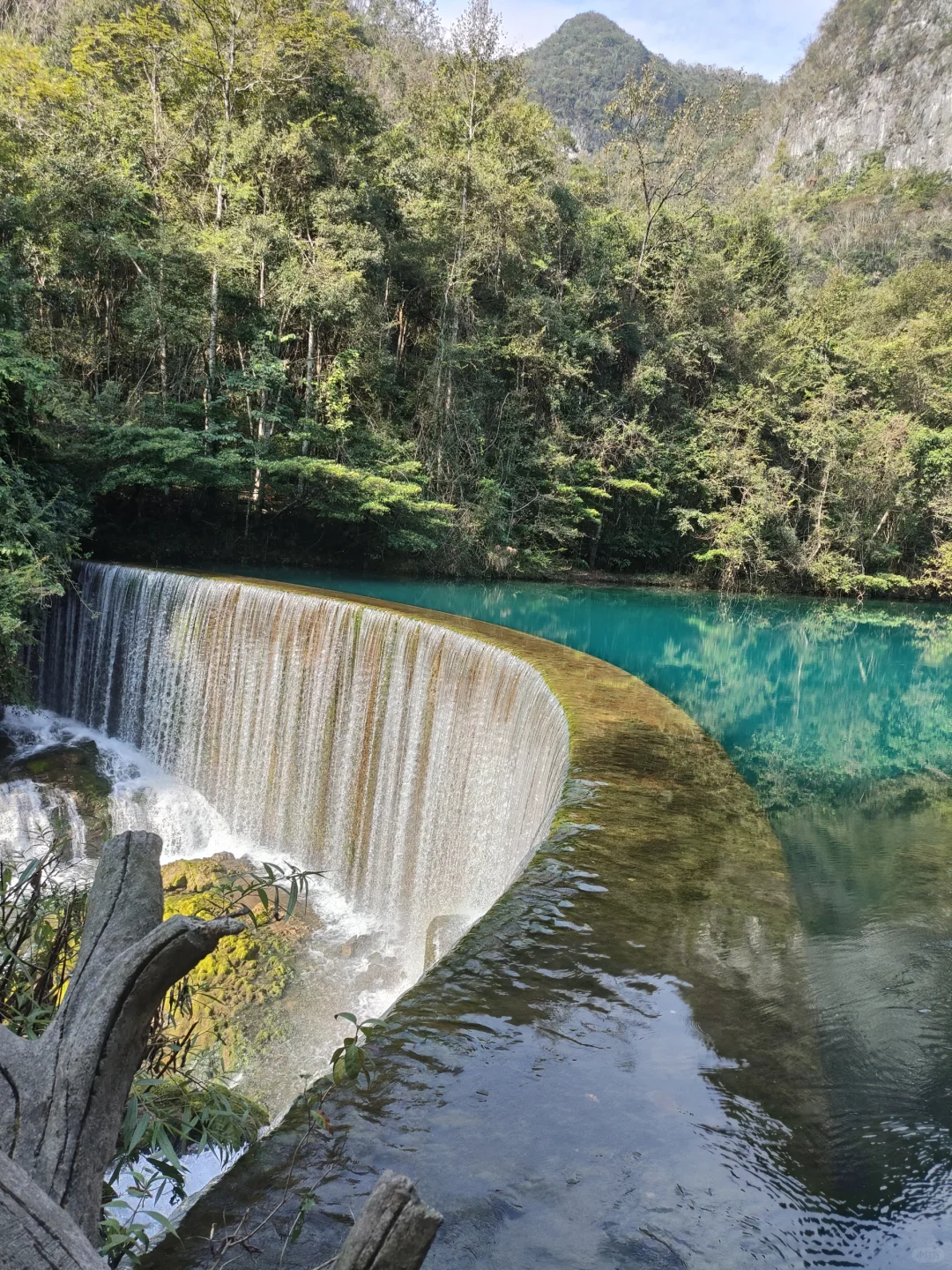 导游证持免费进出景区合集