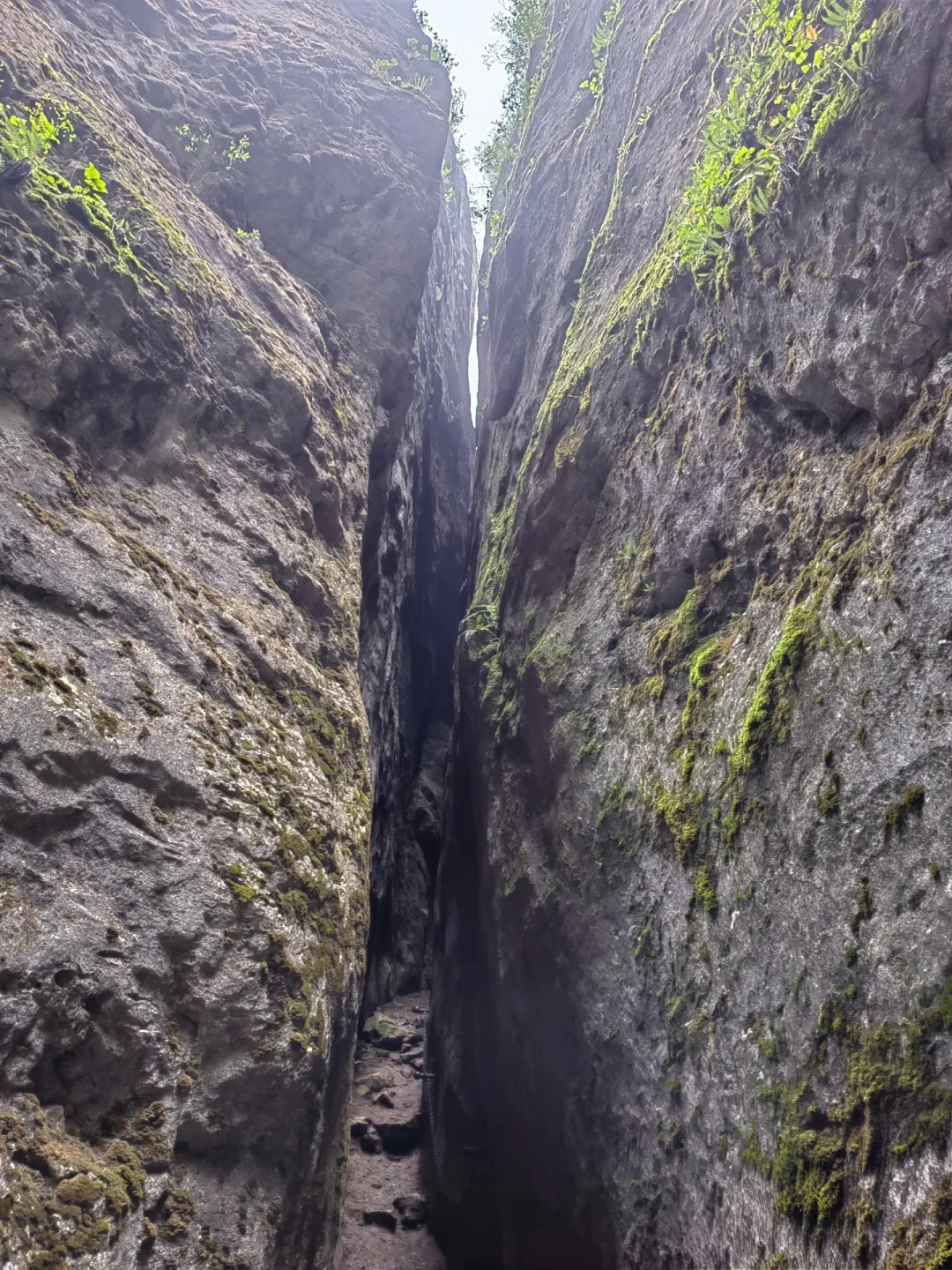 漳县-遮阳山.（超细致攻略）