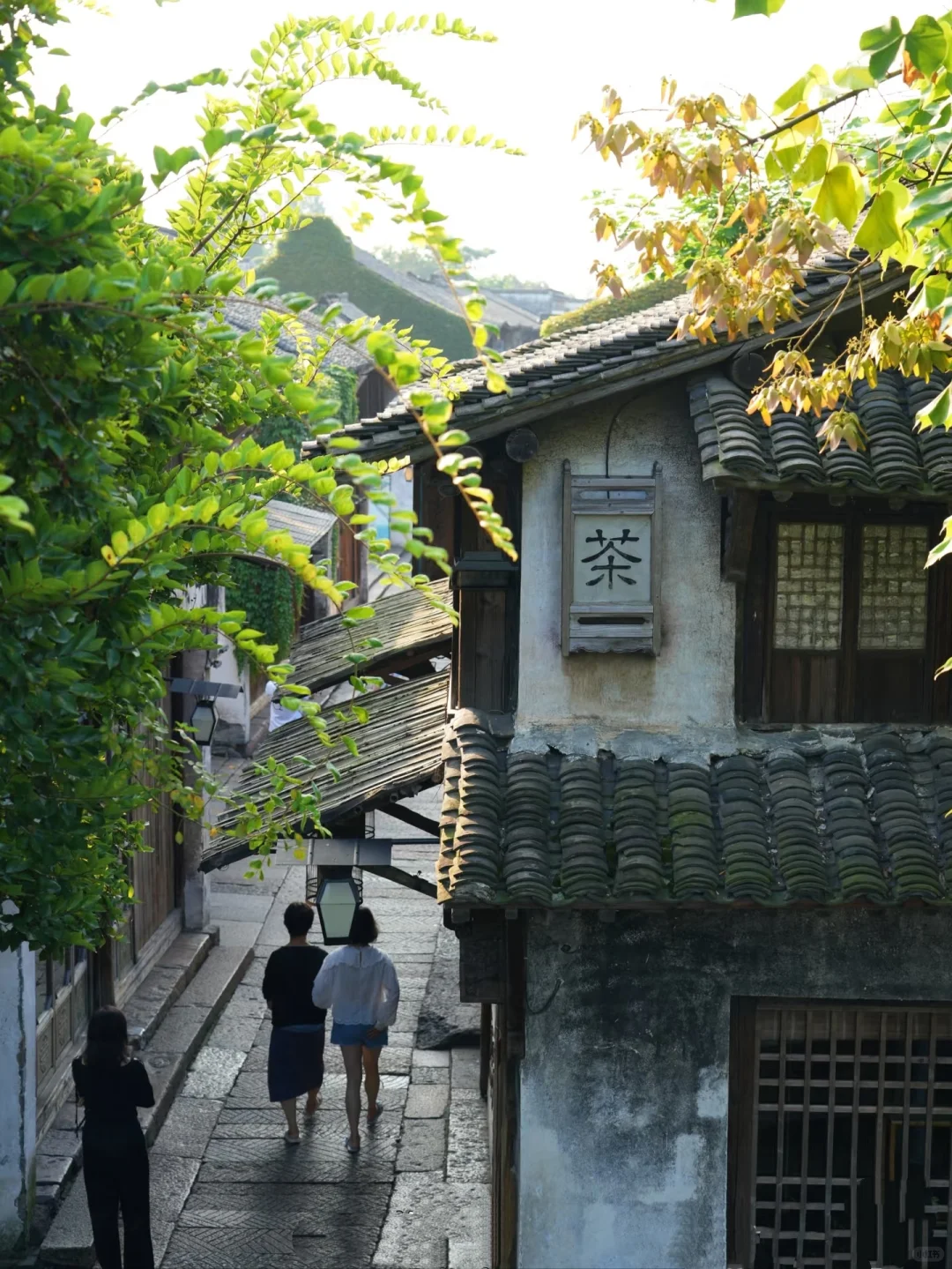 听我说🤣乌镇会惩罚每个不做攻略就来的人