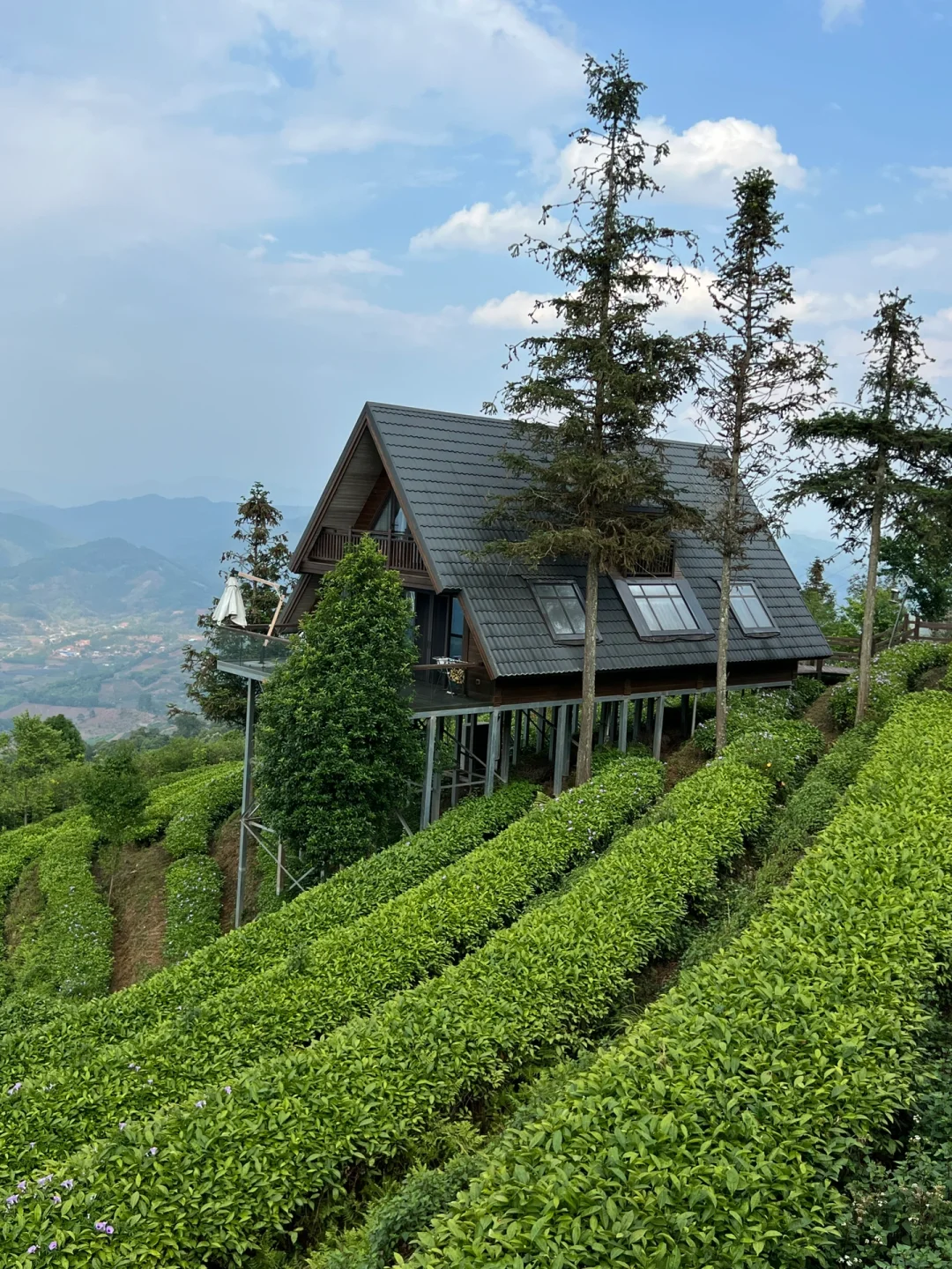 国内小众游｜不去人挤人，我在普洱安静地放空