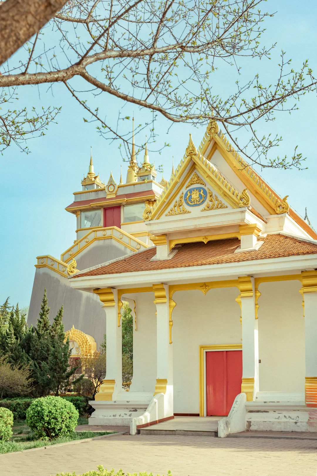 4月去洛阳别找攻略了,这一篇就够