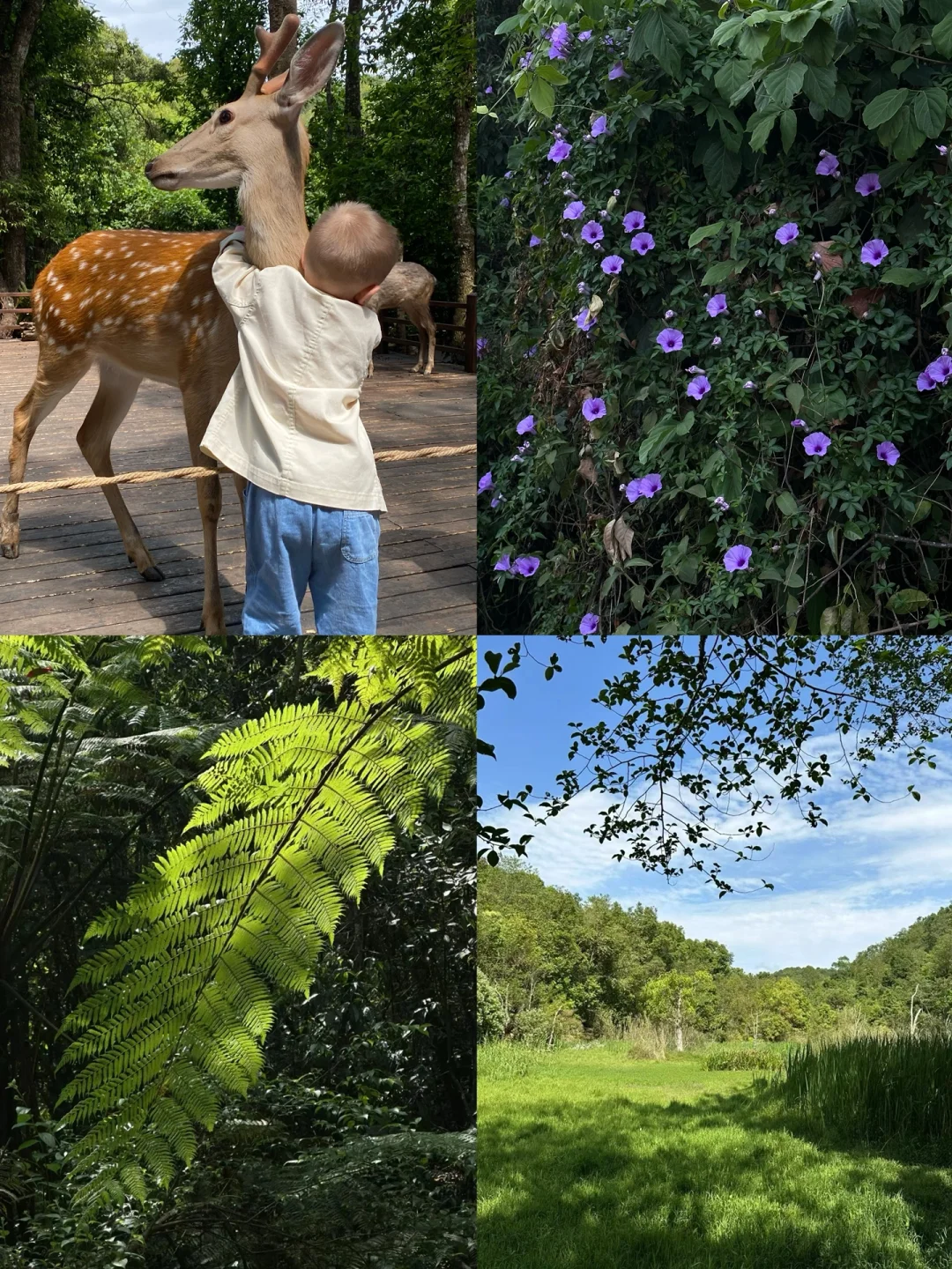 国内小众游｜不去人挤人，我在普洱安静地放空