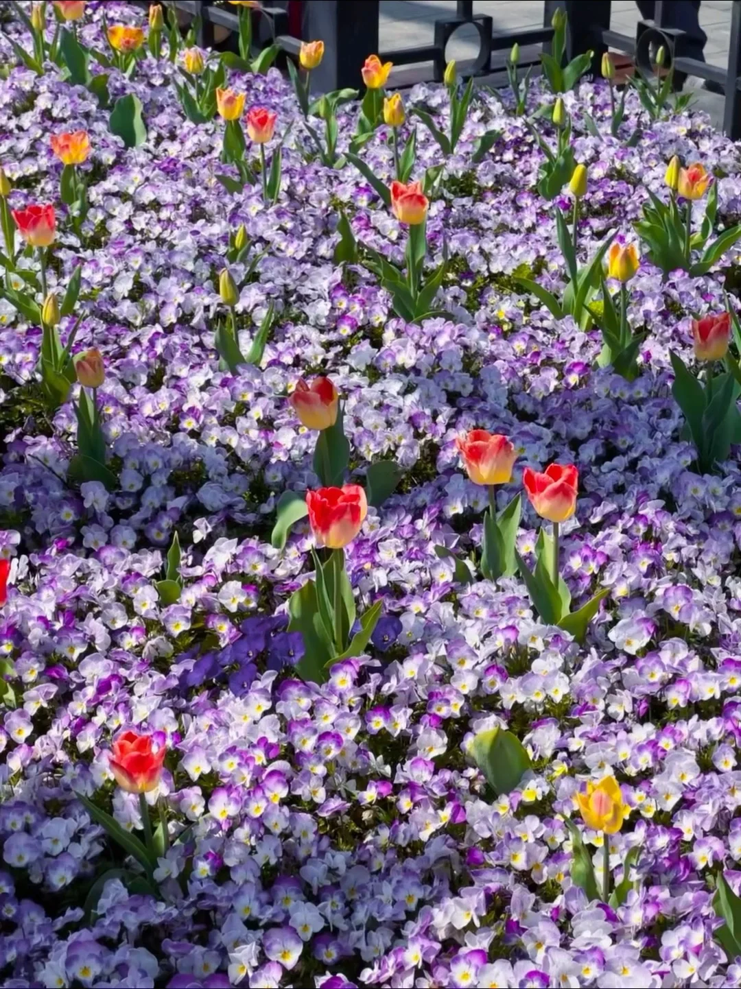 听劝👂4-5月来南京的姐妹请🐎住