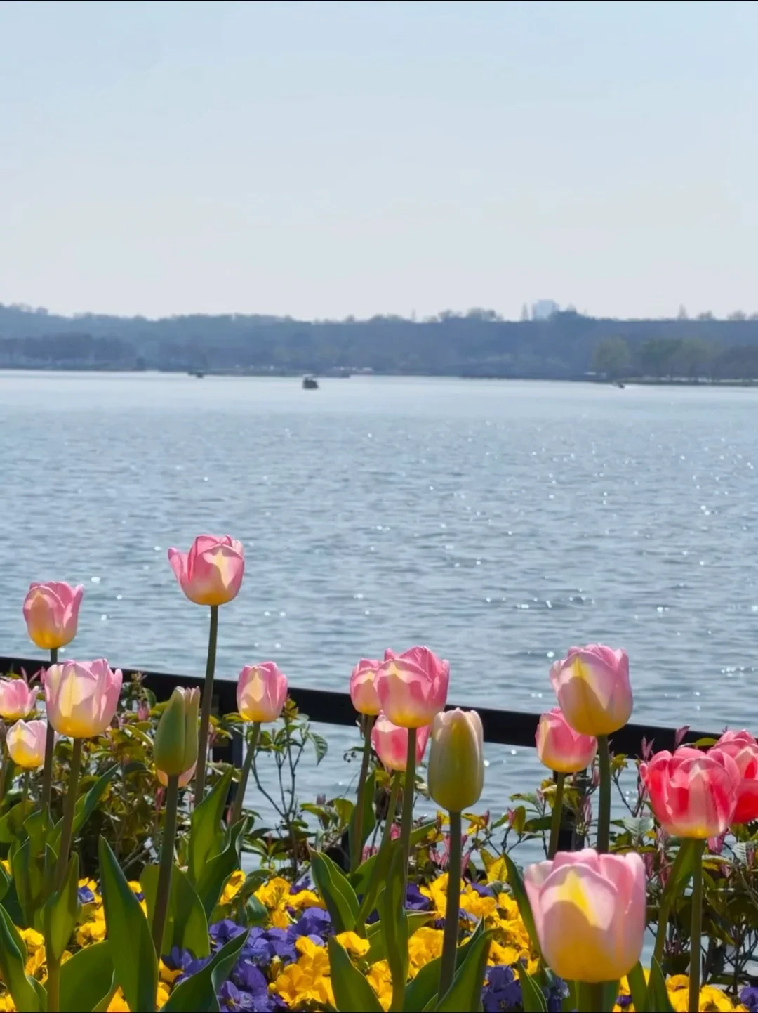 听劝👂4-5月来南京的姐妹请🐎住