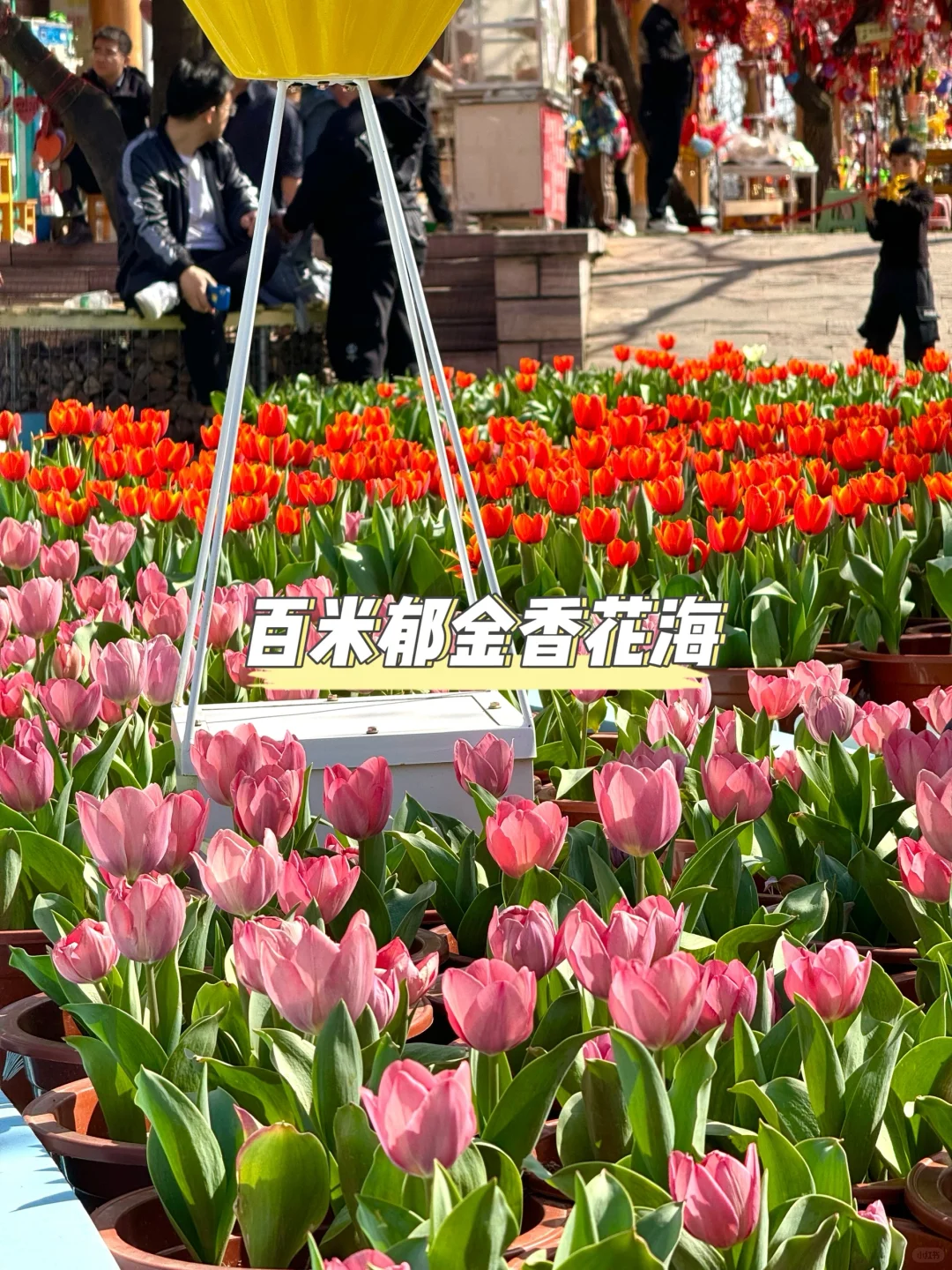 河北省…被严重低估的好山好水…