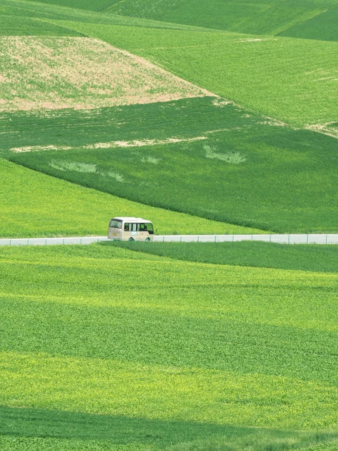 朋友圈被问疯了，😂都以为我出国了！！