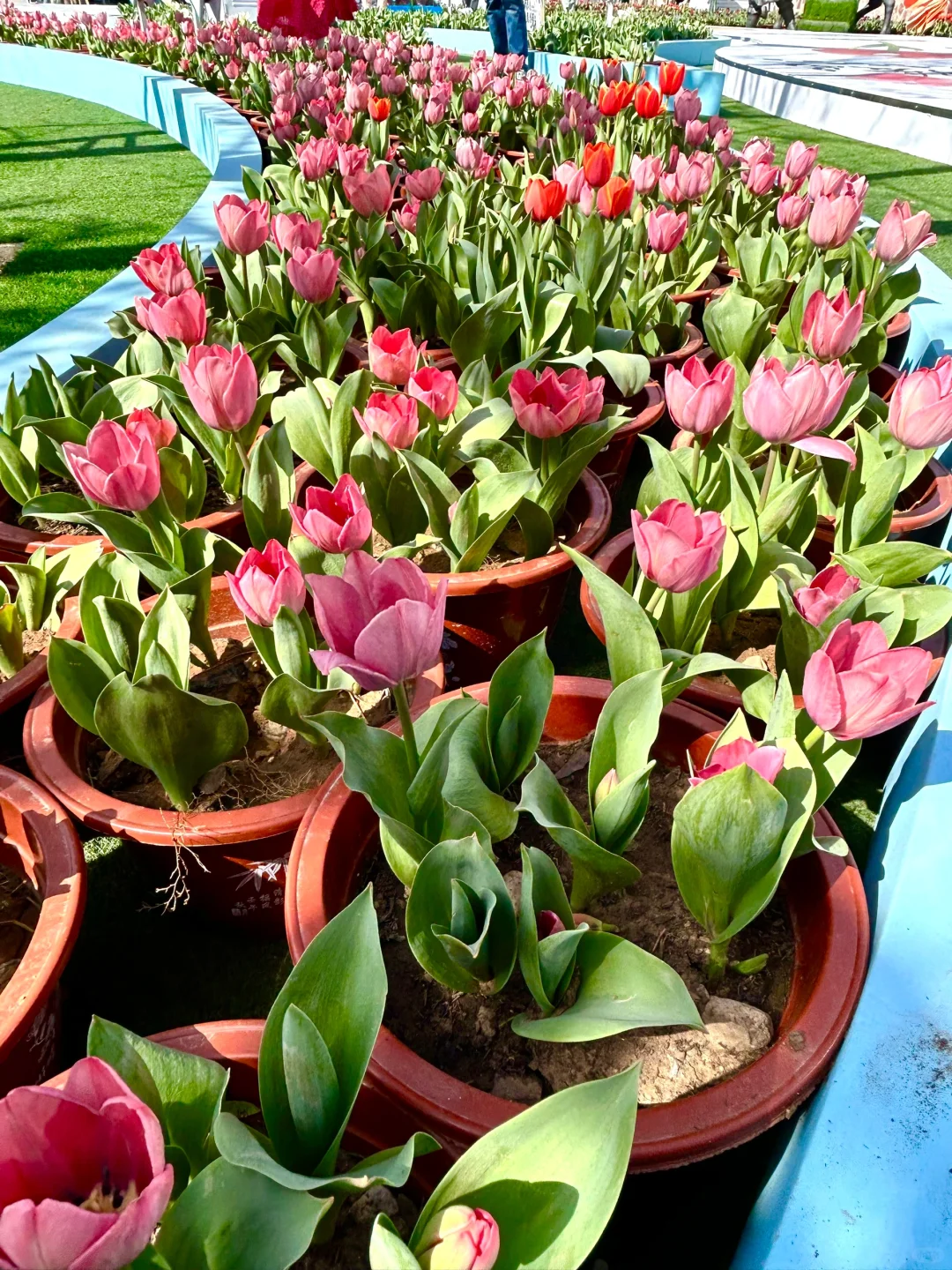 河北省…被严重低估的好山好水…