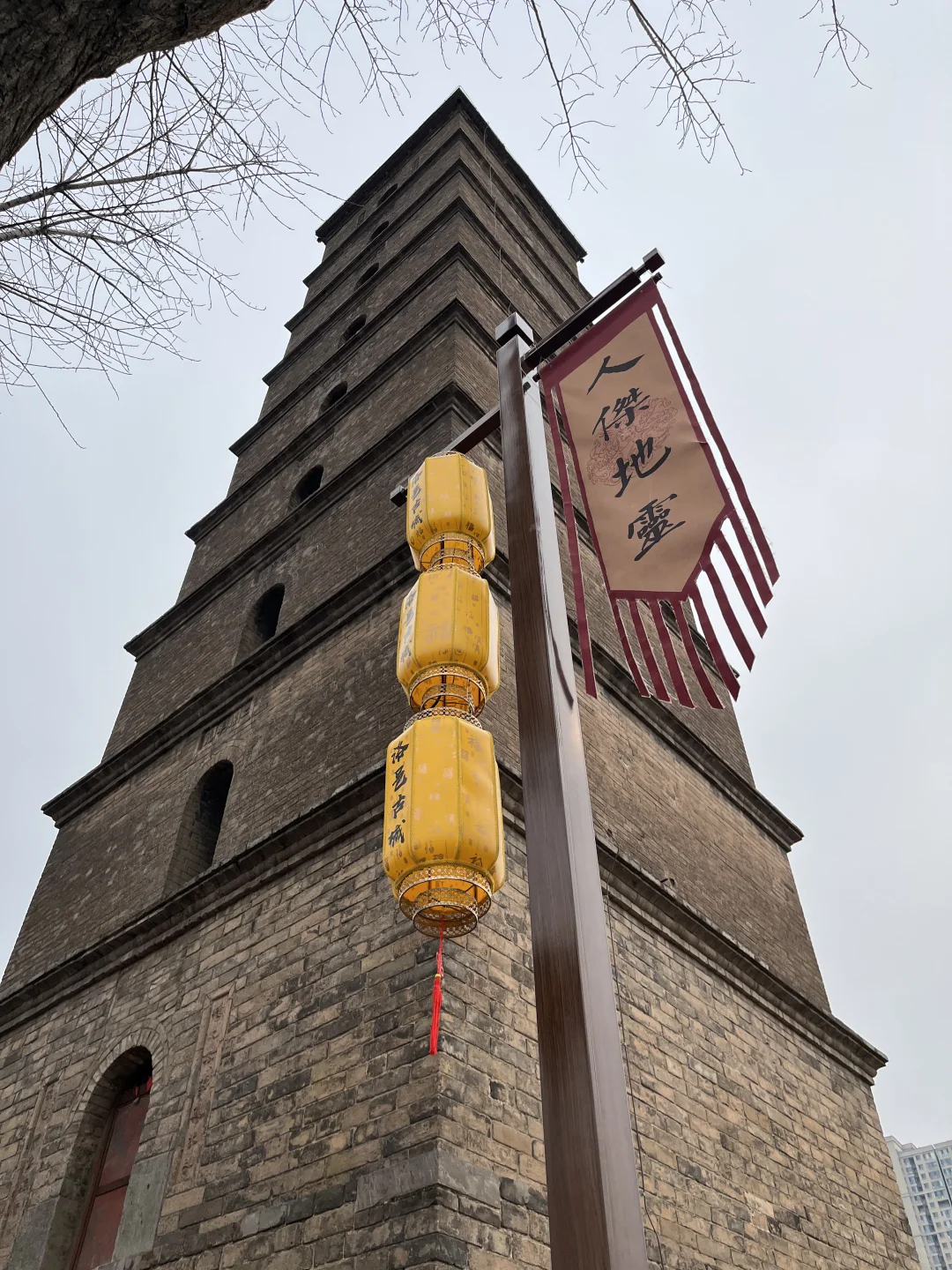 浮生游记🔯洛阳游