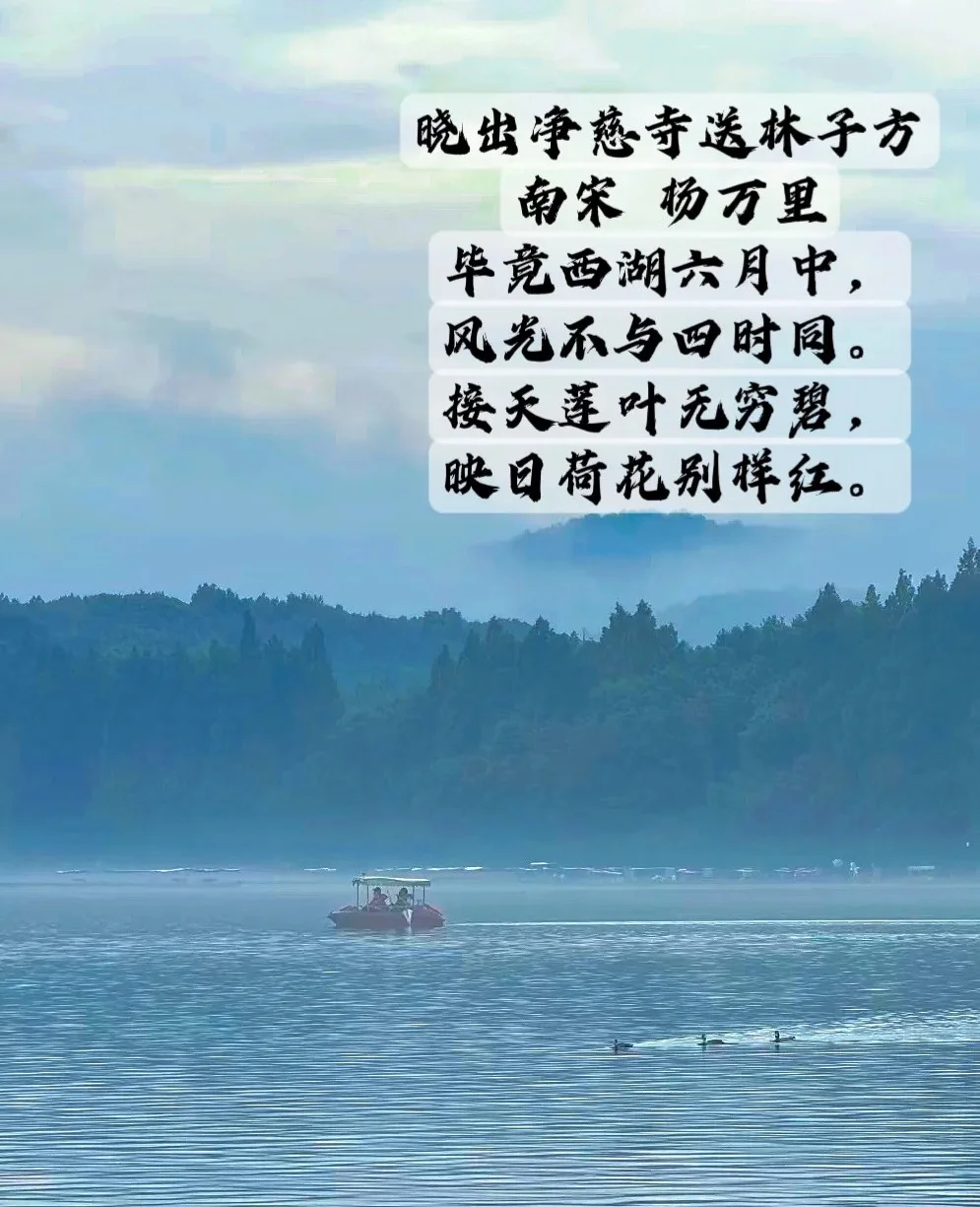 如何高质量的带孩子游西湖