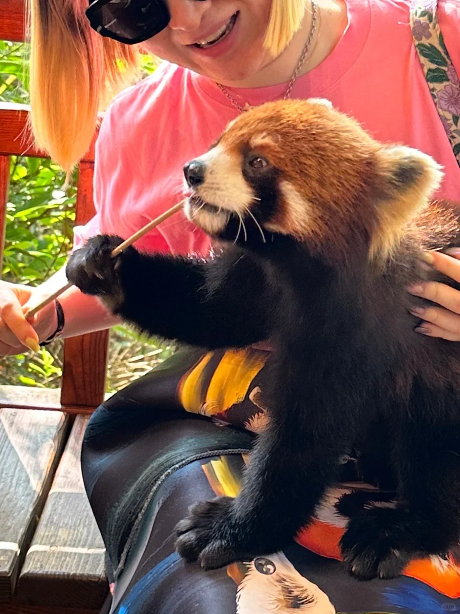 国内小众游｜不去人挤人，我在普洱安静地放空