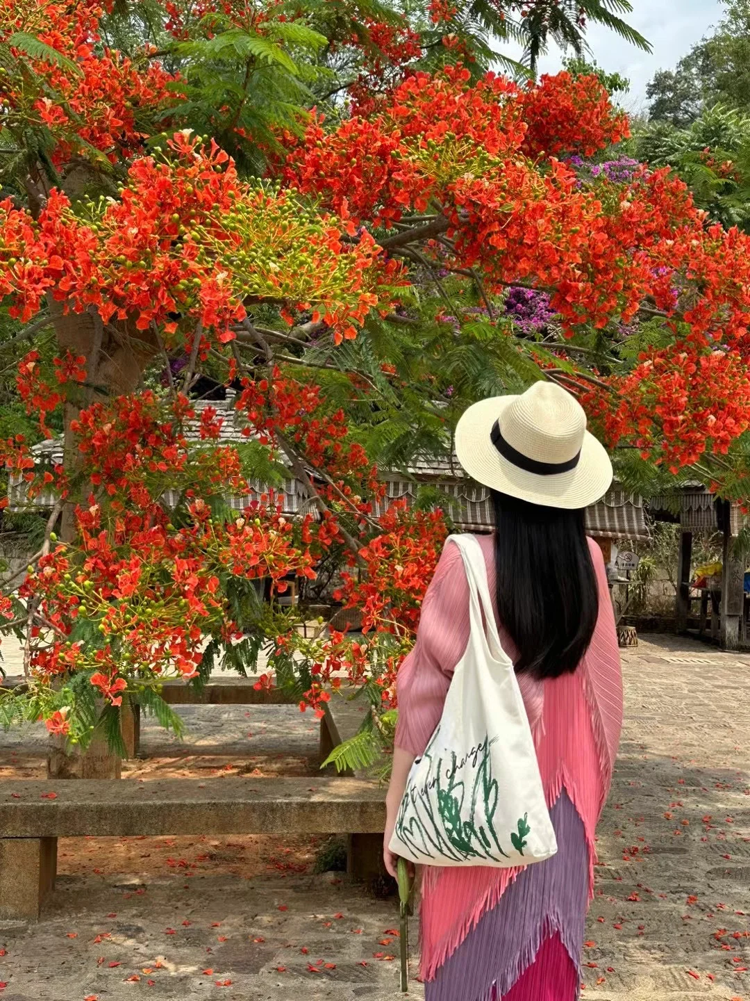 国内小众游｜不去人挤人，我在普洱安静地放空