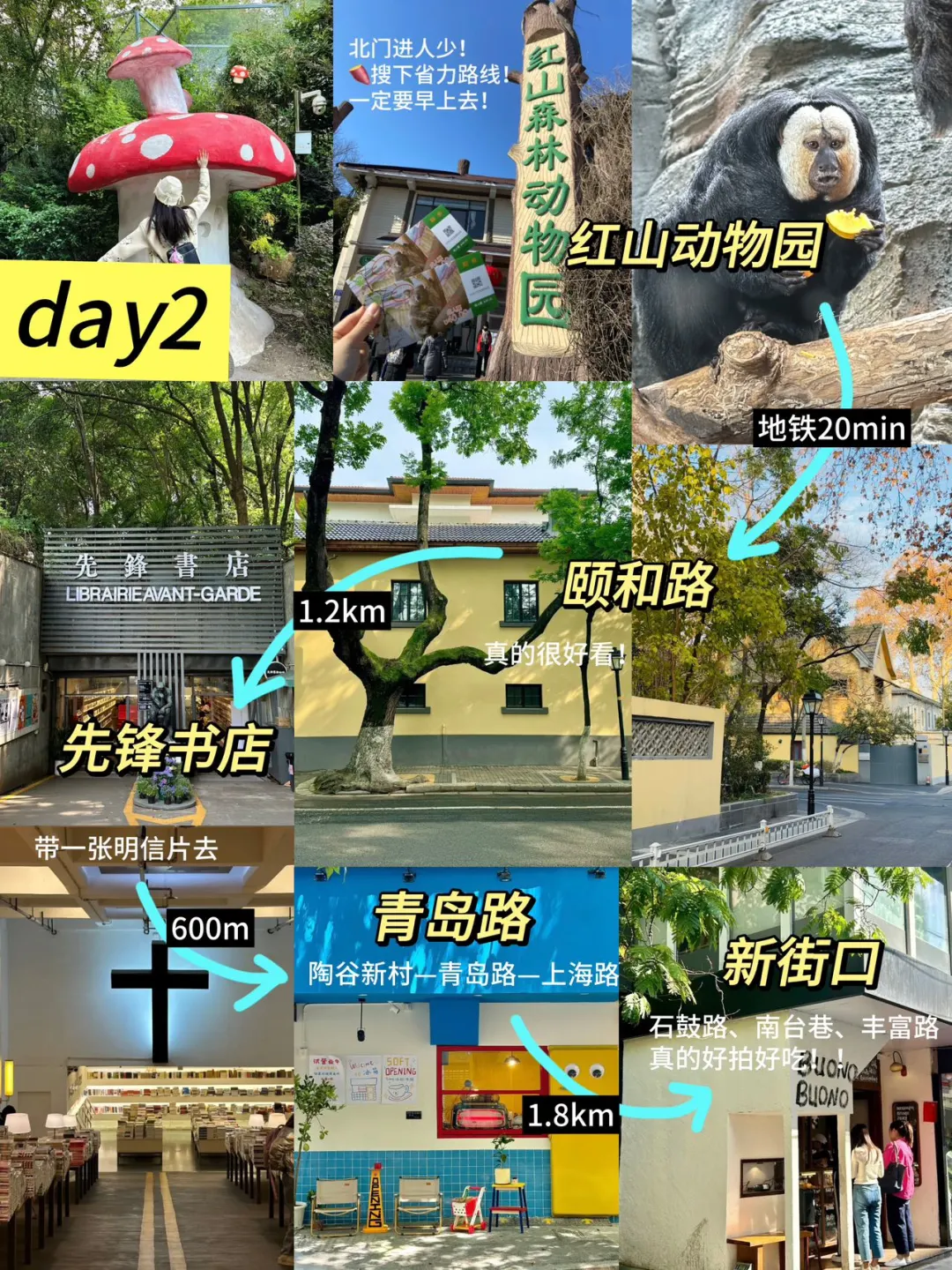 被j人做的南京周末两日游攻略震惊到了🤯