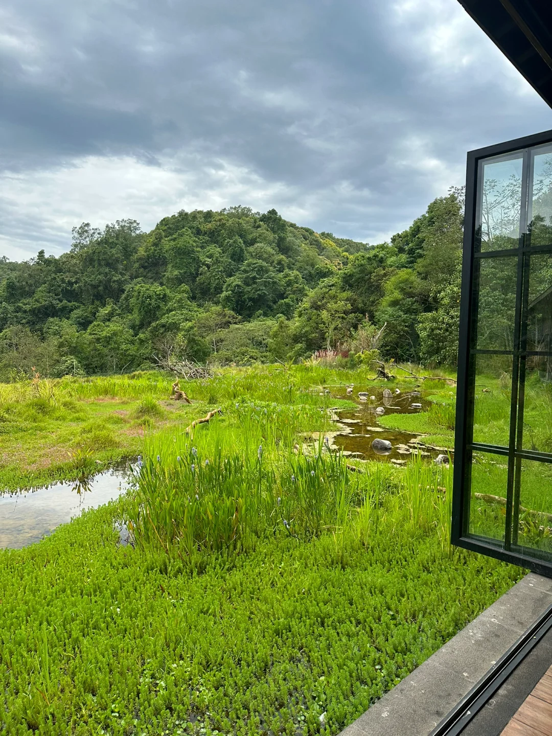 国内小众游｜不去人挤人，我在普洱安静地放空