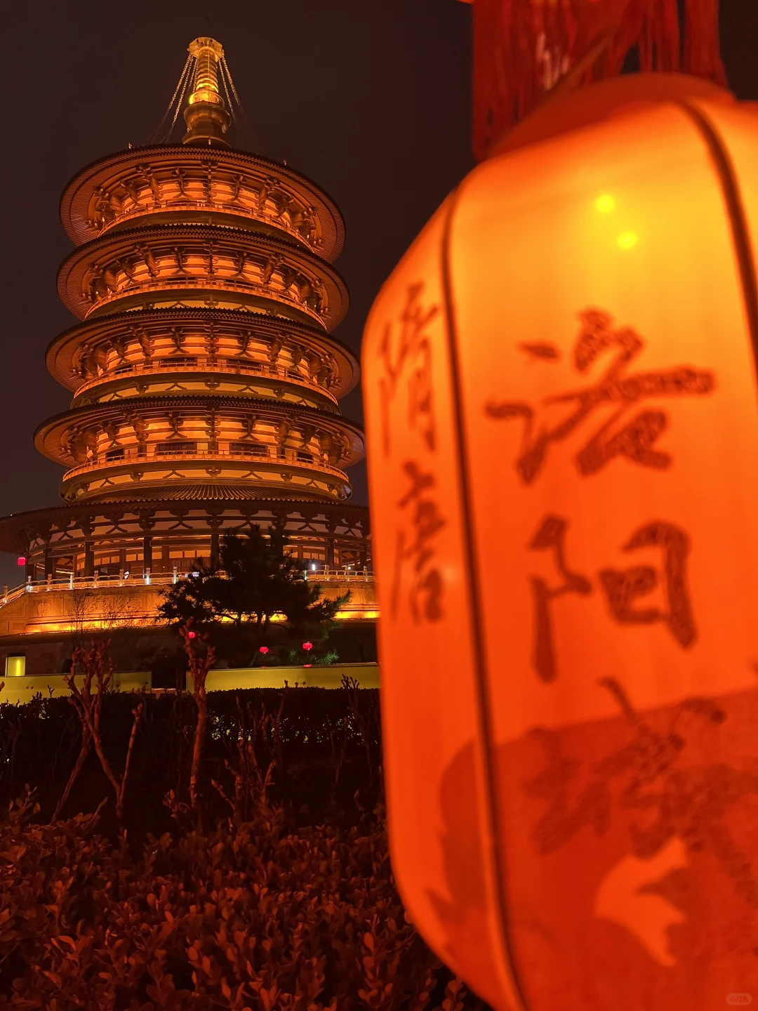 浮生游记🔯洛阳游