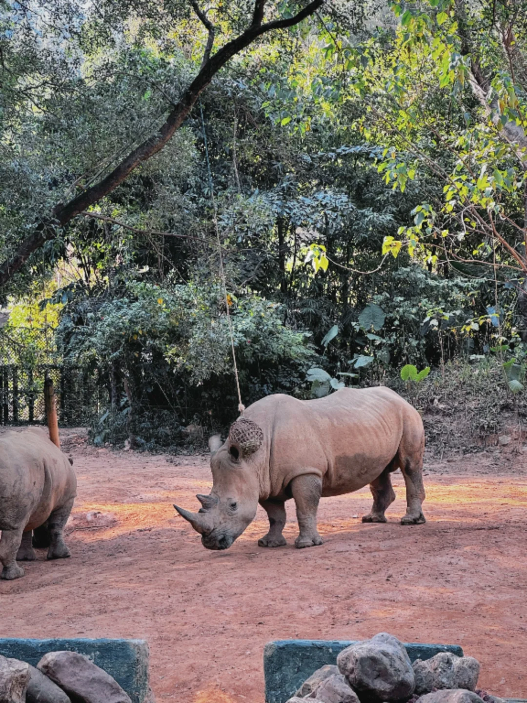 广州四天三夜亲子游玩攻略(吃住行篇)