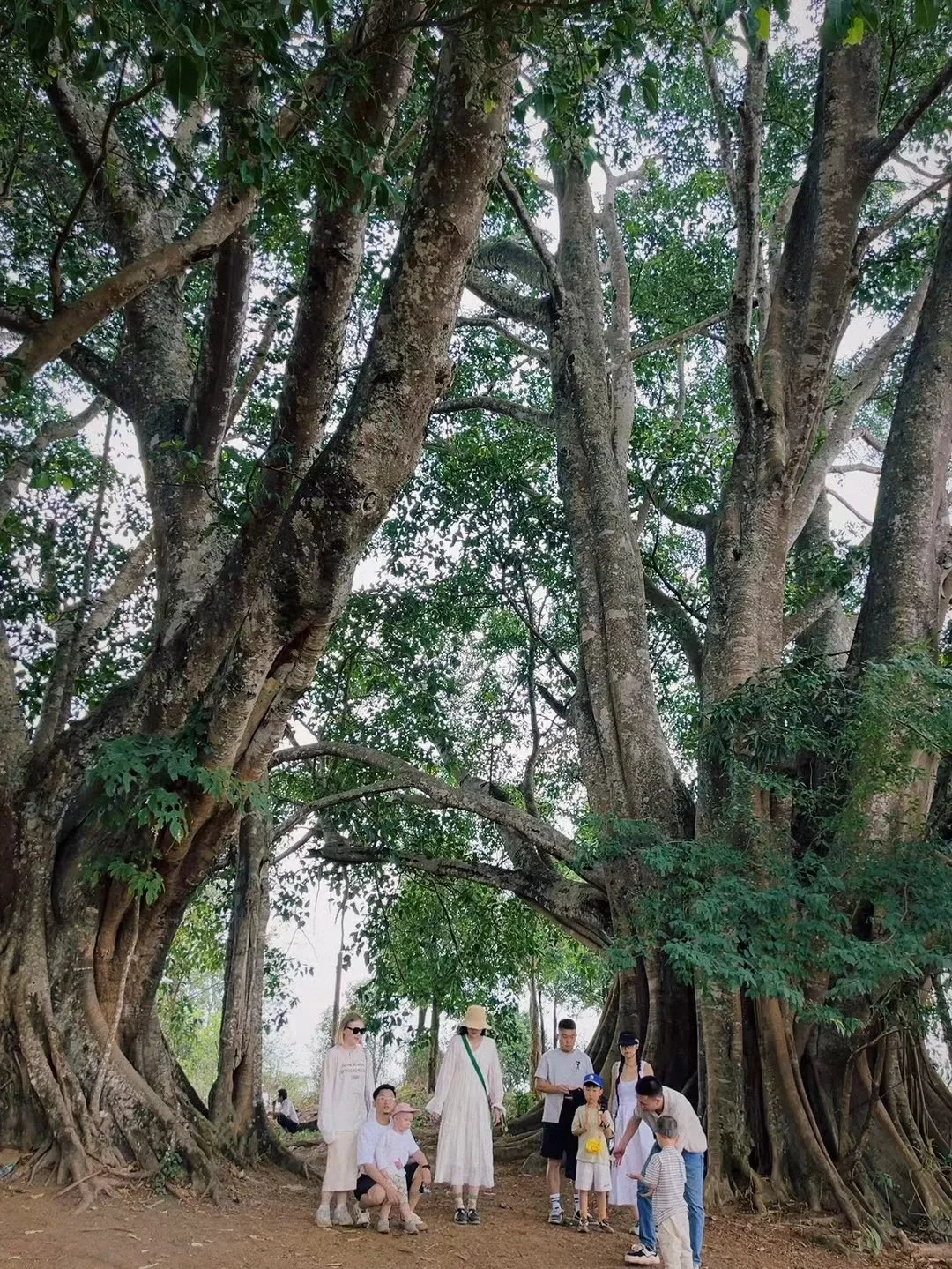 国内小众游｜不去人挤人，我在普洱安静地放空