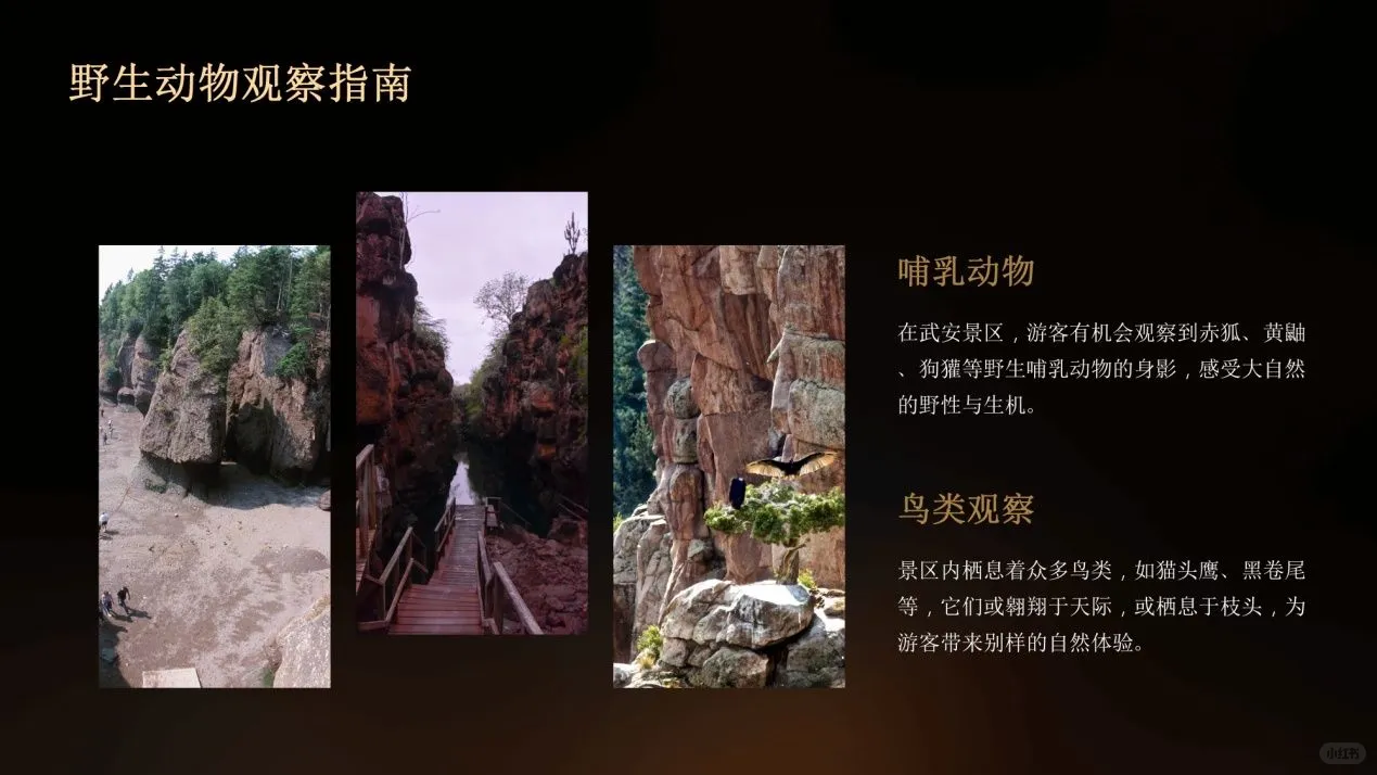 武安景区全攻略:揭秘不为人知的景点,一场