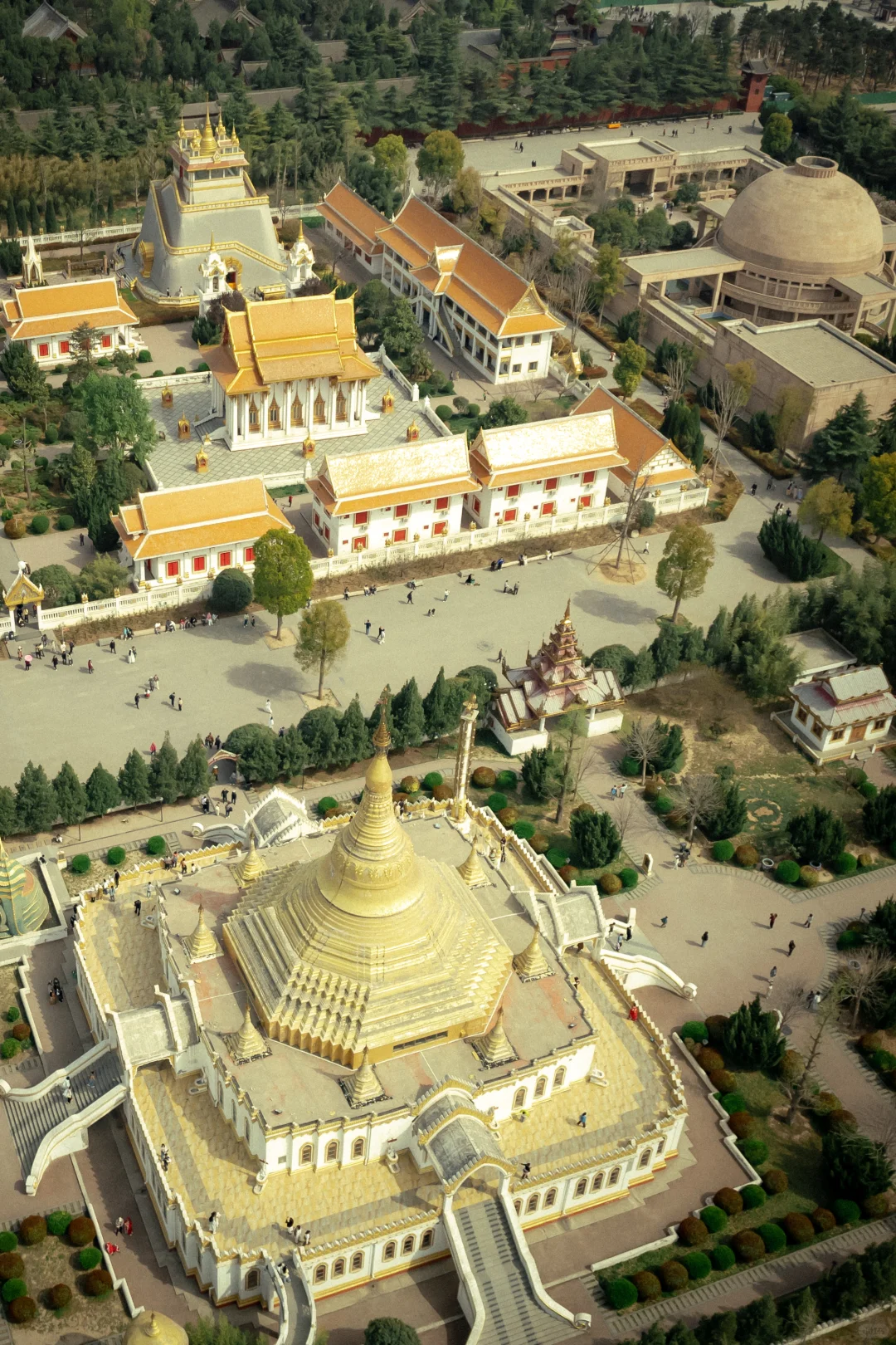 4月去洛阳别找攻略了,这一篇就够