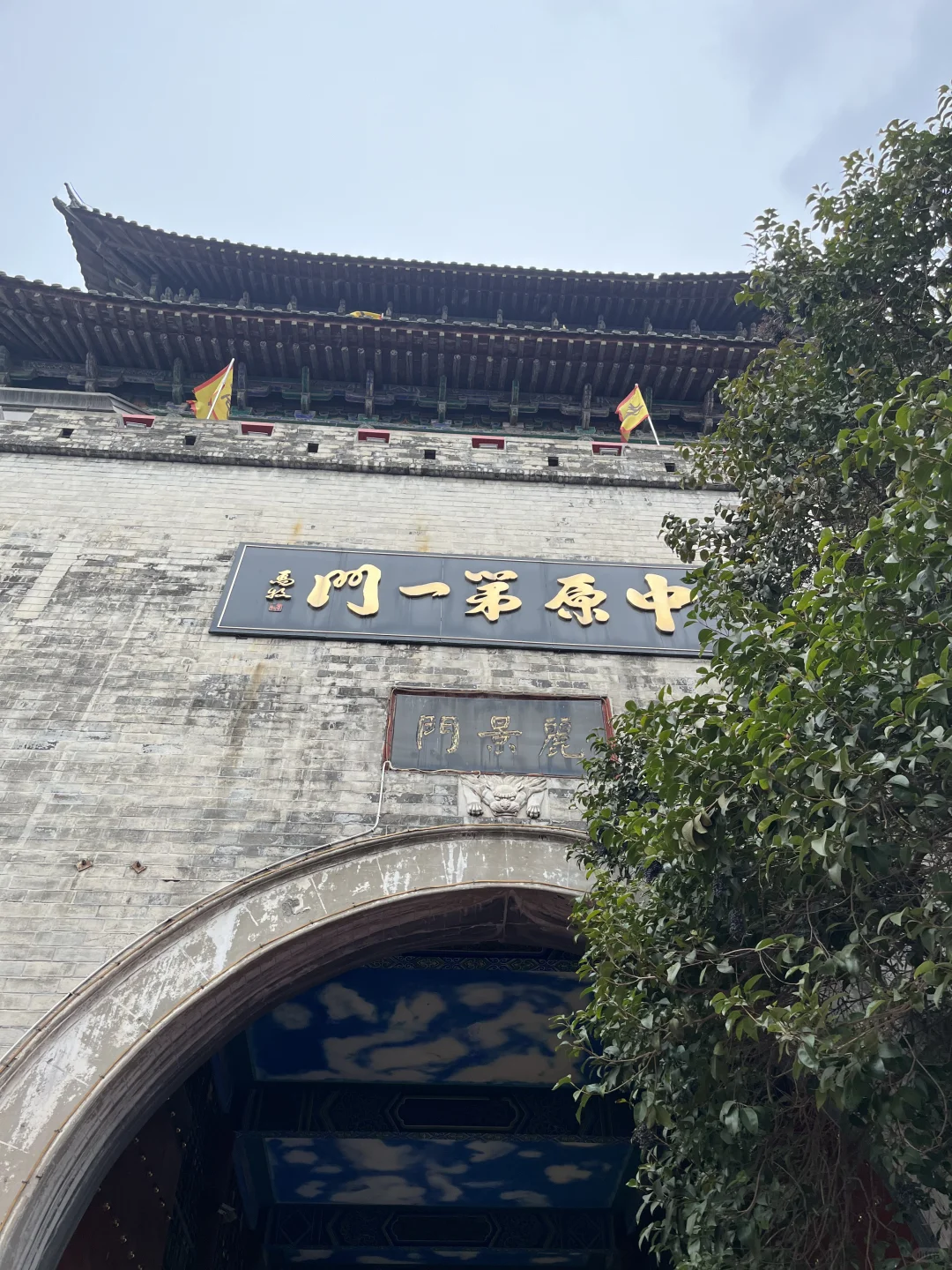 浮生游记🔯洛阳游