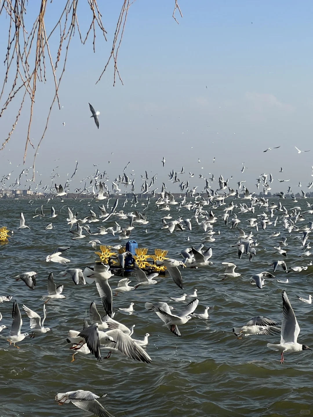 超详细不踩雷‼️人均2k+云南旅游攻略来啦