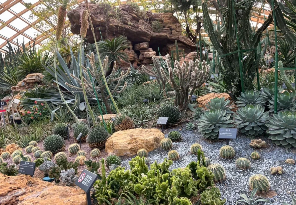 晋源区这几个景区发生了变化快来看！