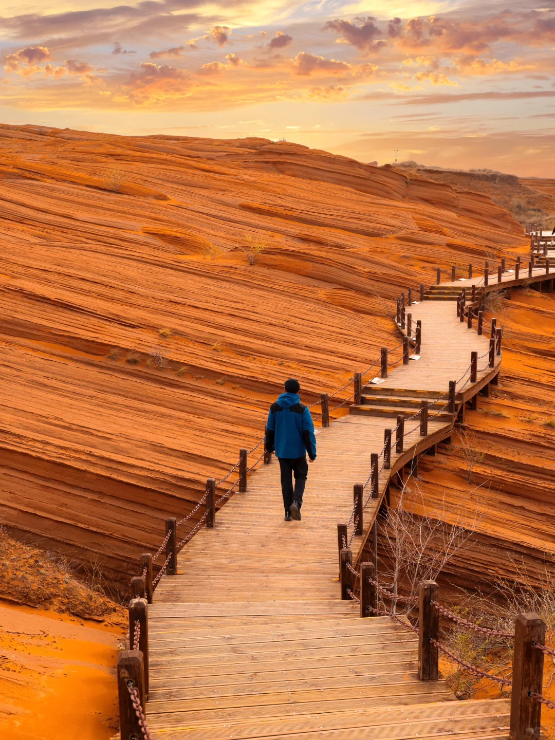 朋友圈被问疯了，还以为我去了国外❗️