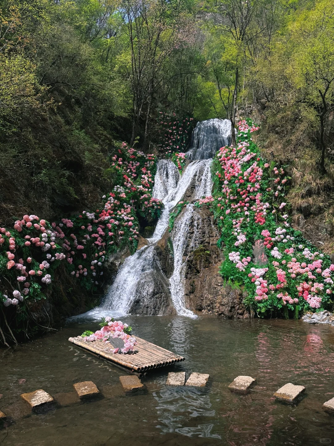 不夸张❗️超好玩❗️河南人自己的绿野仙踪🌲