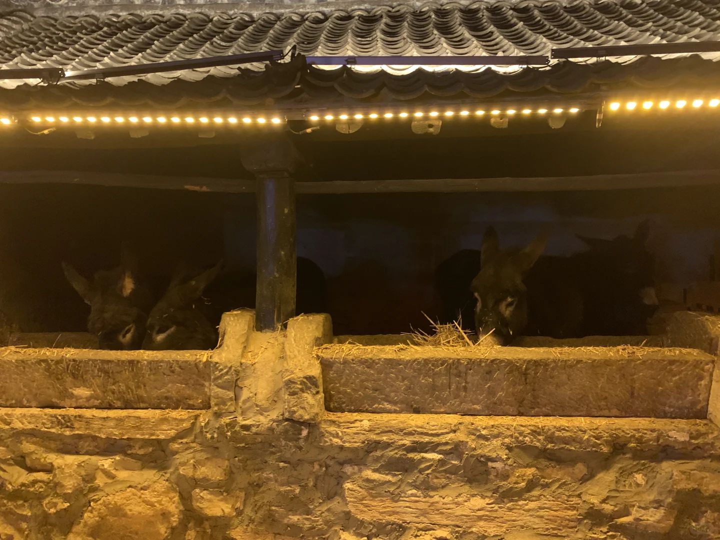 河北省邯郸市涉县5A景区