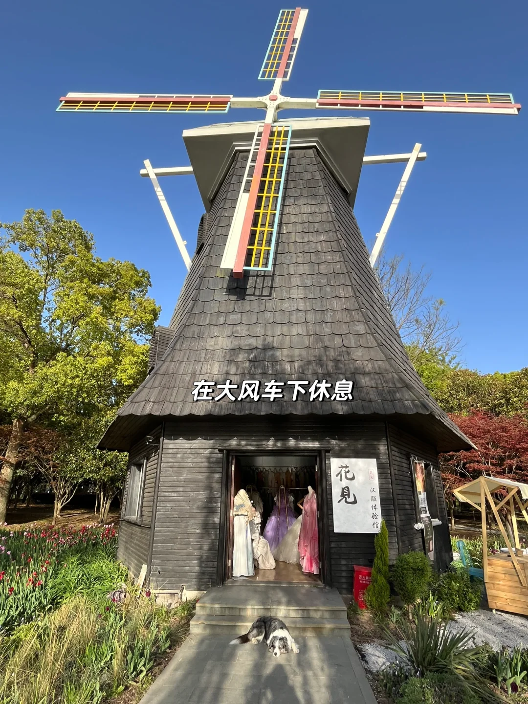 速速解锁👉上海小狗的【真·莫奈花园】来了!