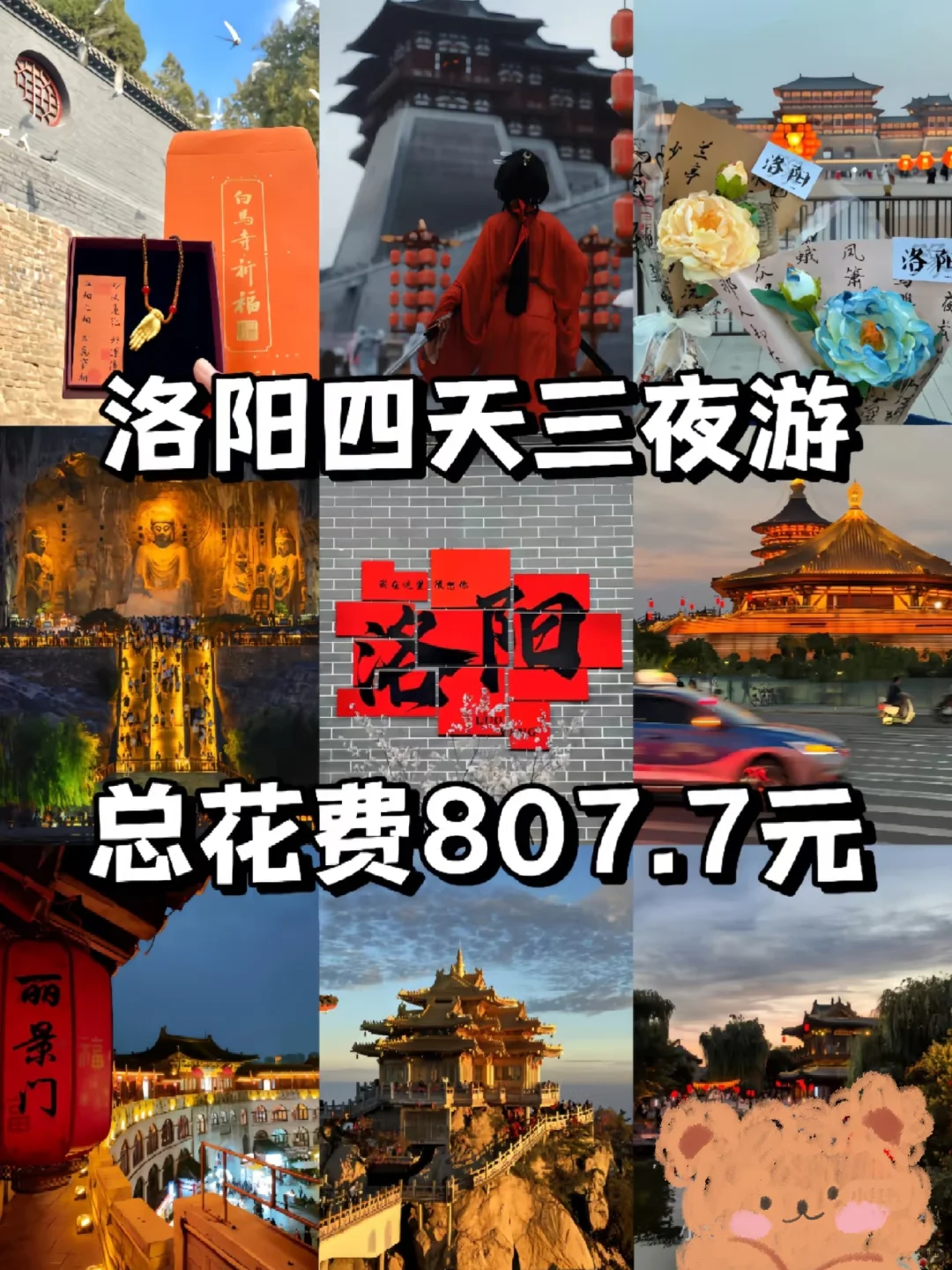 04女大穷游洛阳📍四天|真实旅游分享