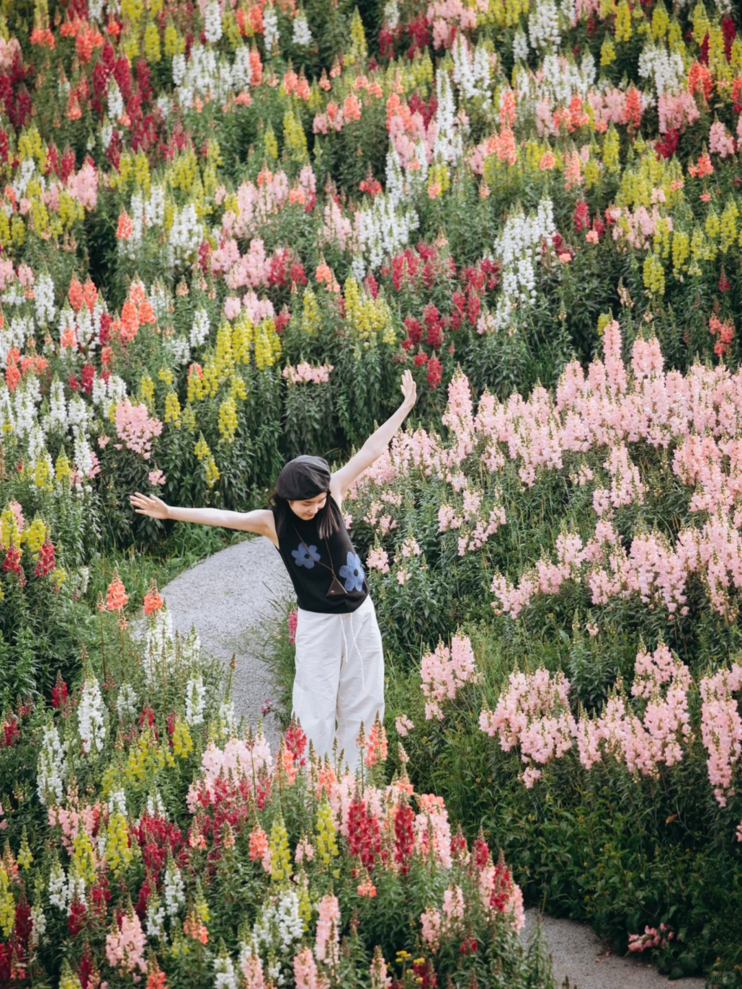 我好像找到了重庆版的莫奈花园，好看惨了