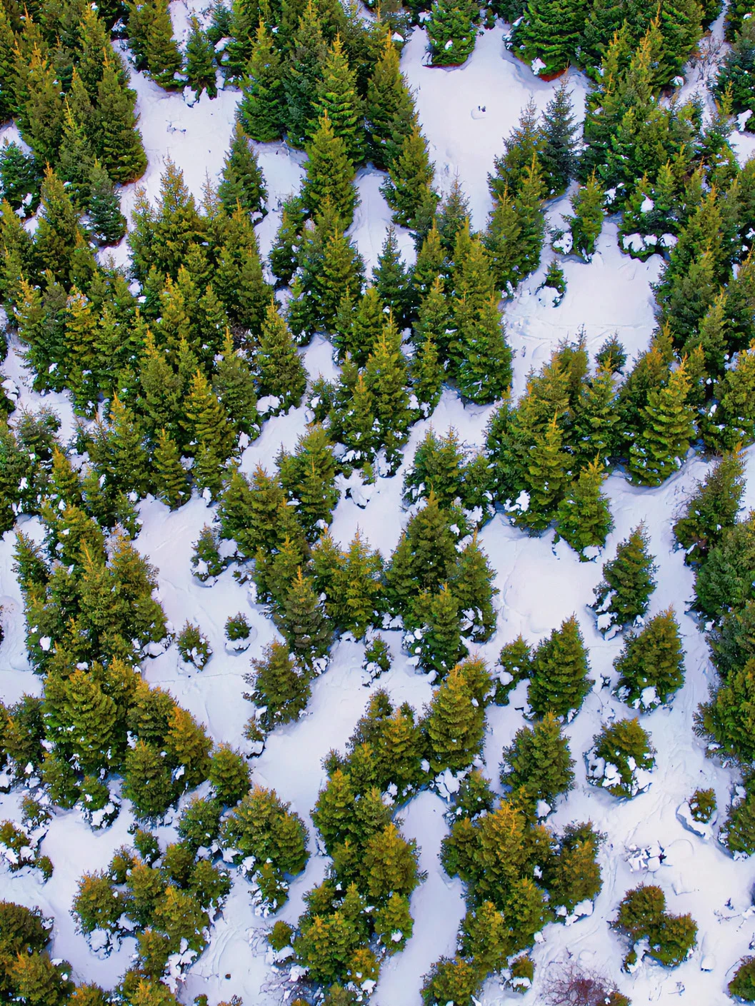乌市周边的这个地方，有点东西🤔