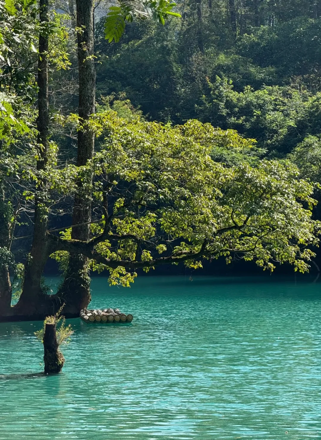 像梦一般的蓝月谷⛰️都来小七孔！！！