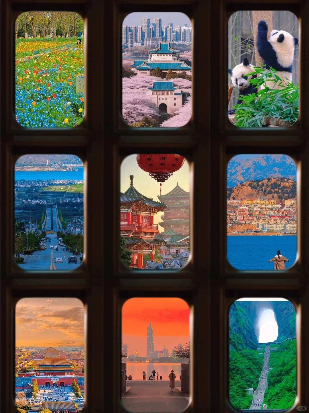 清明 短期旅行去哪玩