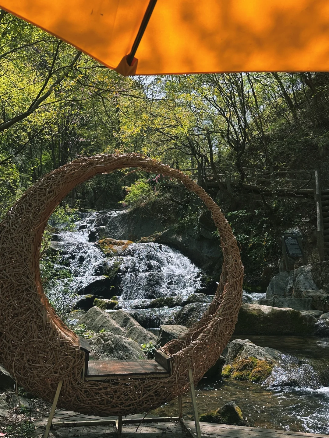 不夸张❗️超好玩❗️河南人自己的绿野仙踪🌲