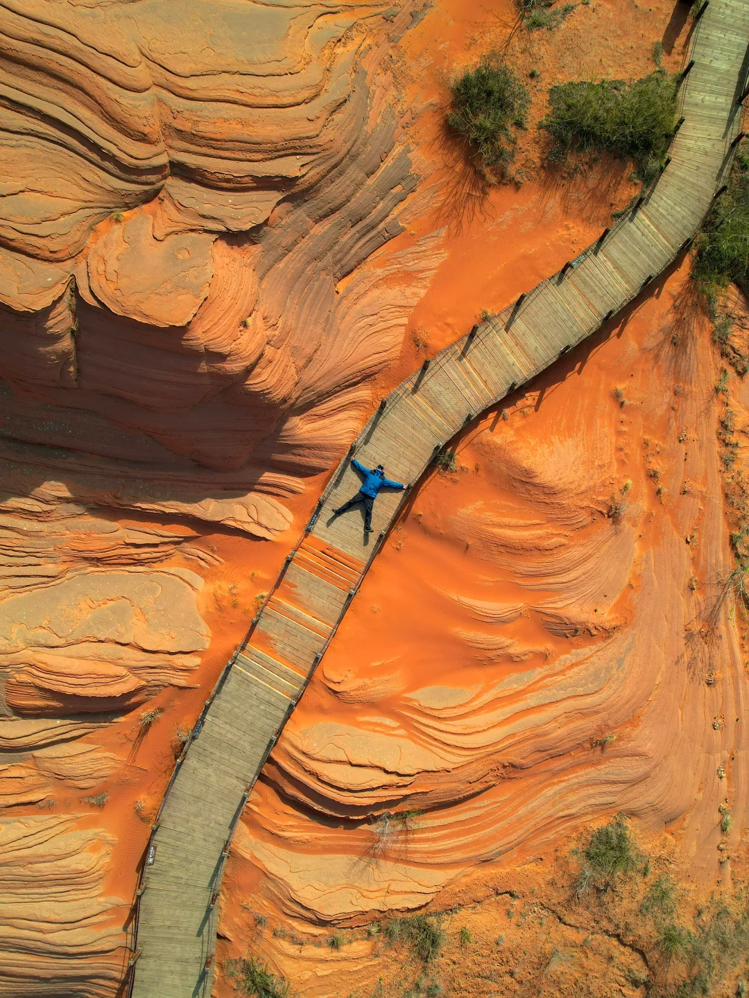 朋友圈被问疯了，还以为我去了国外❗️