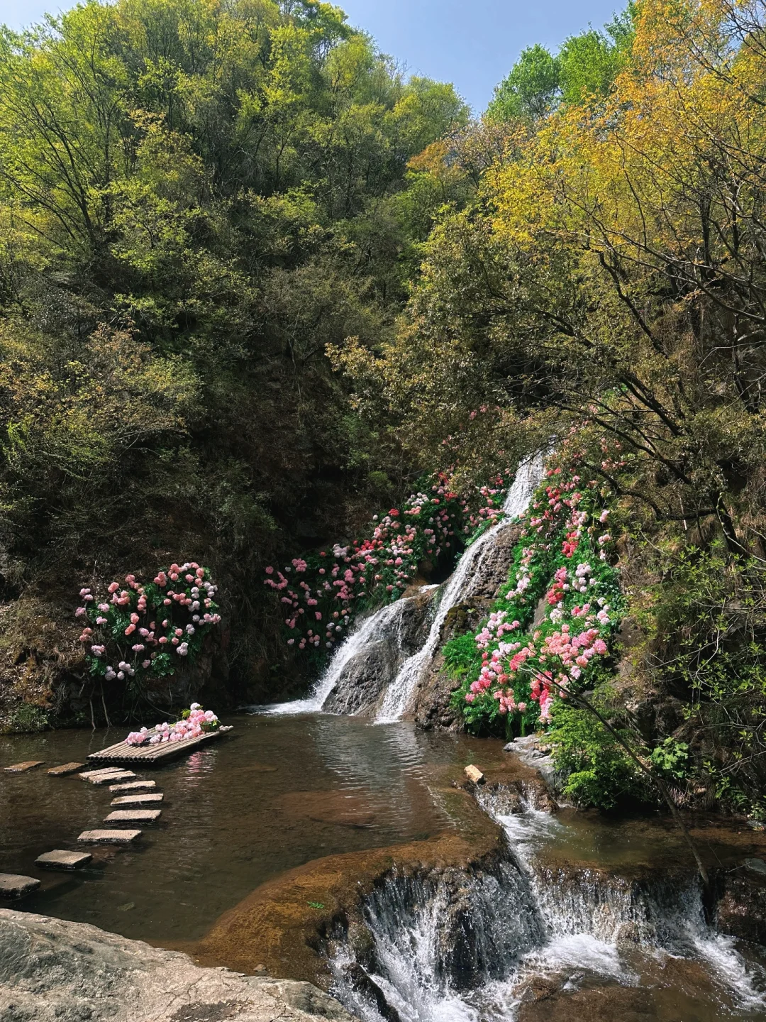 不夸张❗️超好玩❗️河南人自己的绿野仙踪🌲