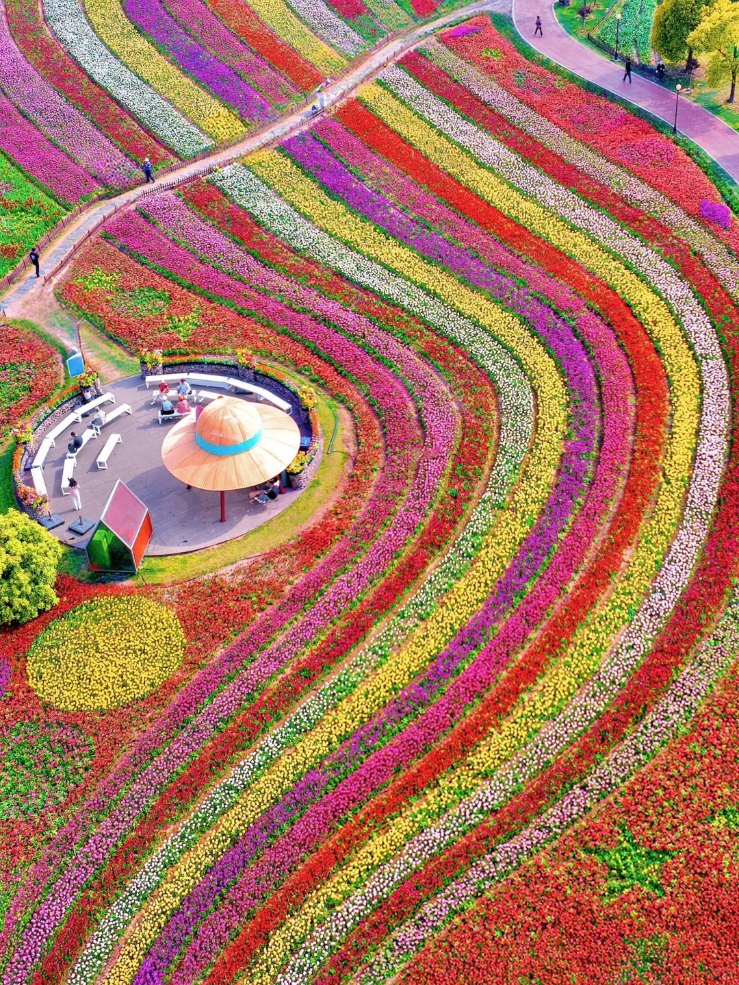 发朋友圈被问爆了！都以为我出国了…