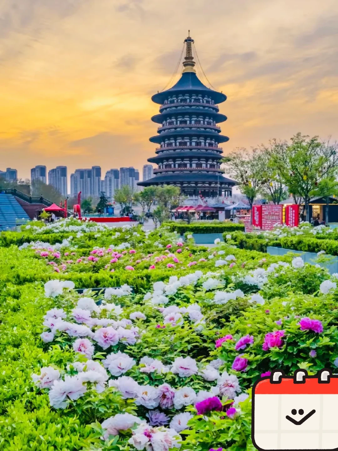 04女大穷游洛阳📍四天｜真实旅游分享