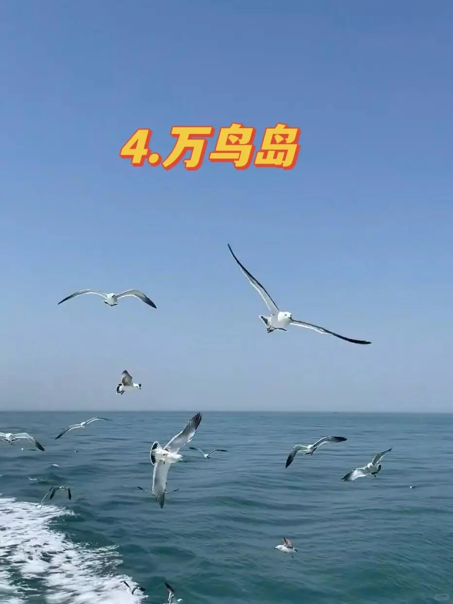 烟台丨 一定要去的5个绝美景点!美哭啦
