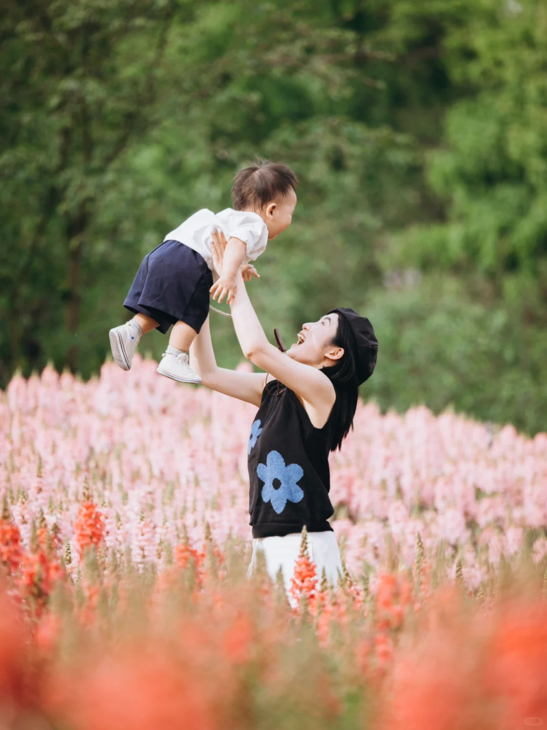 我好像找到了重庆版的莫奈花园，好看惨了