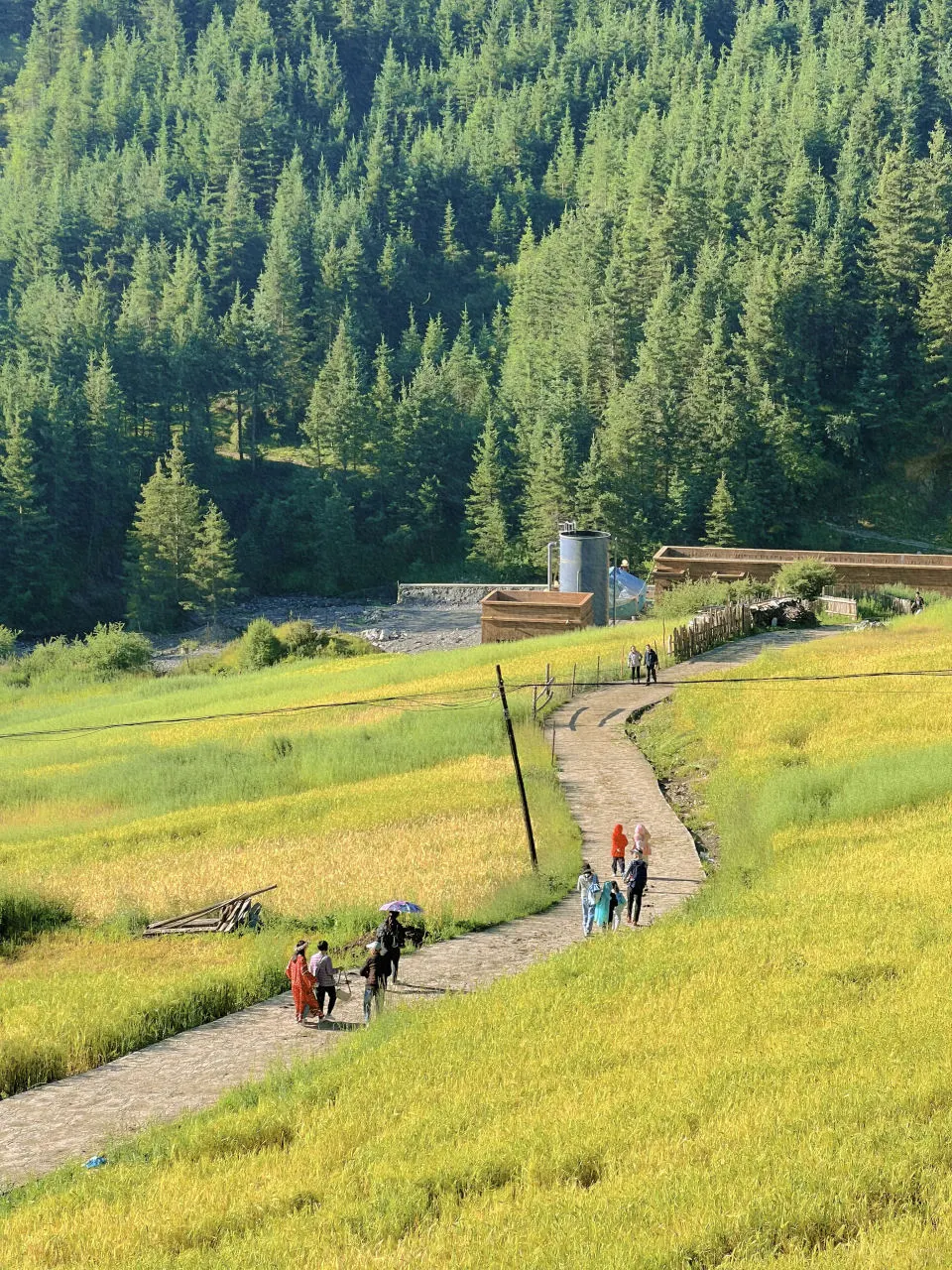 五一反向旅行成功！推荐个被低估的冷门城市