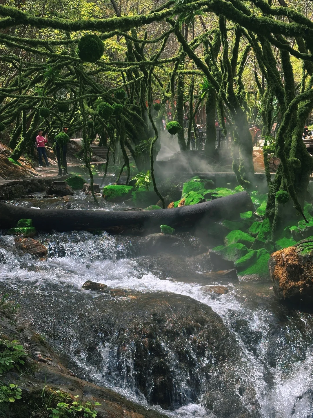 不夸张❗️超好玩❗️河南人自己的绿野仙踪🌲