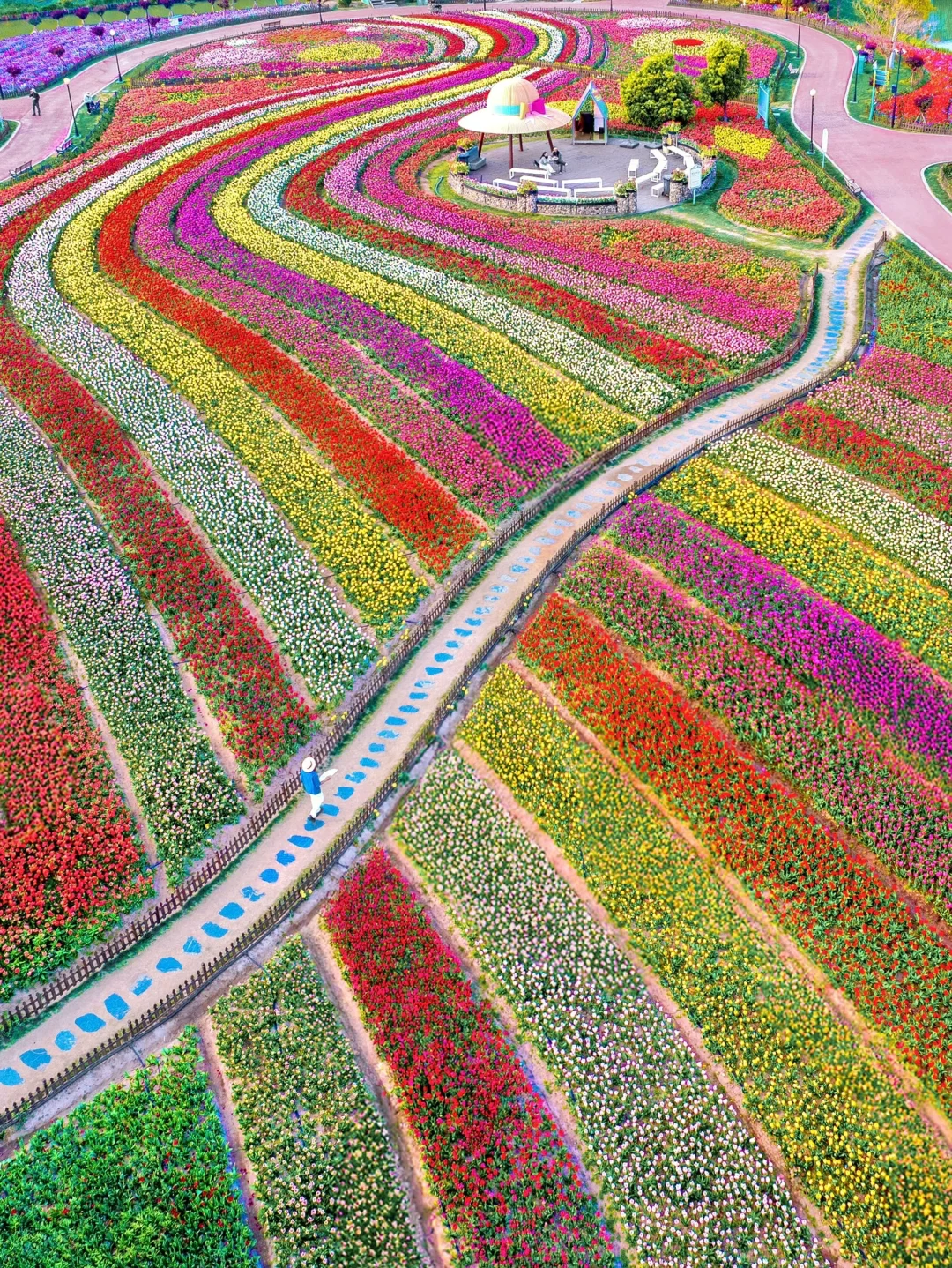 发朋友圈被问爆了！都以为我出国了…